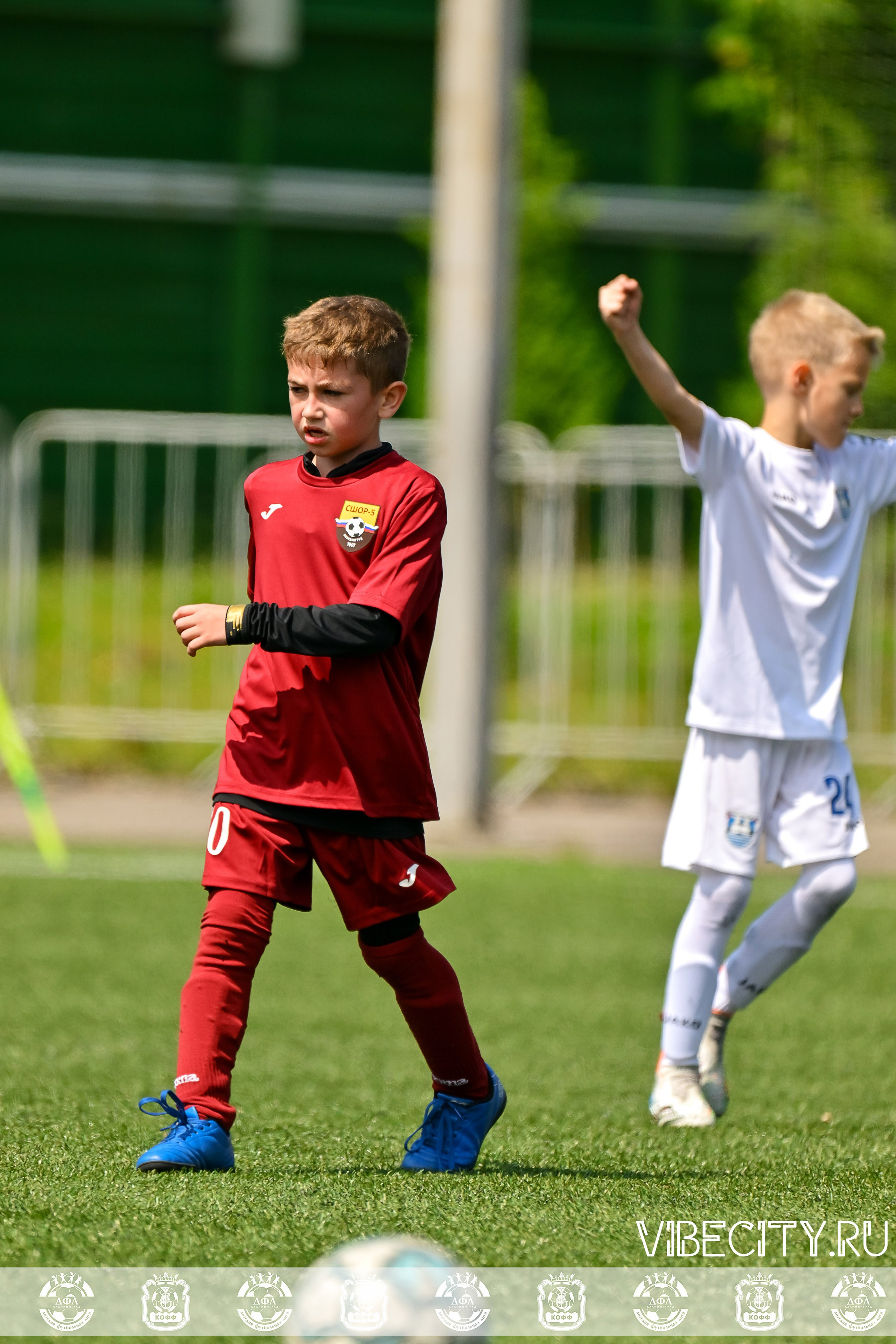 Большие Звезды светят Малым. VIBECITY.RU Вайб Сити Ру Фоторепортажи Фотоотчеты Калининград