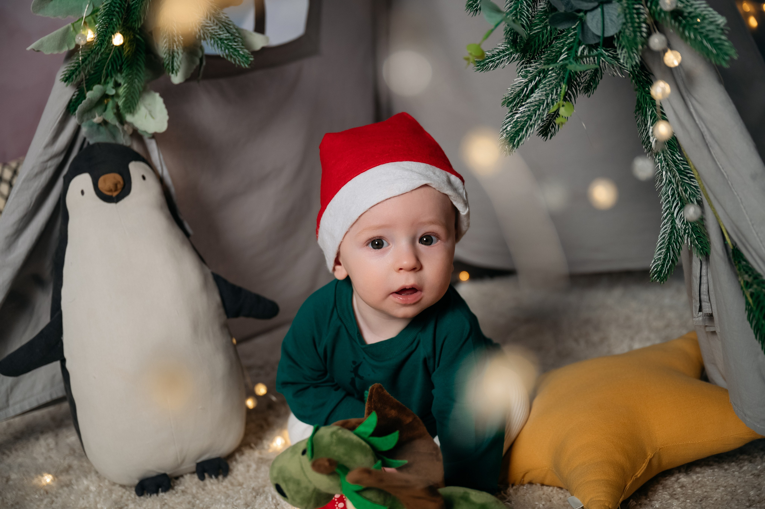 N. Ваш фотограф в г. Петропавловске-Камчатском Арина Алексеева