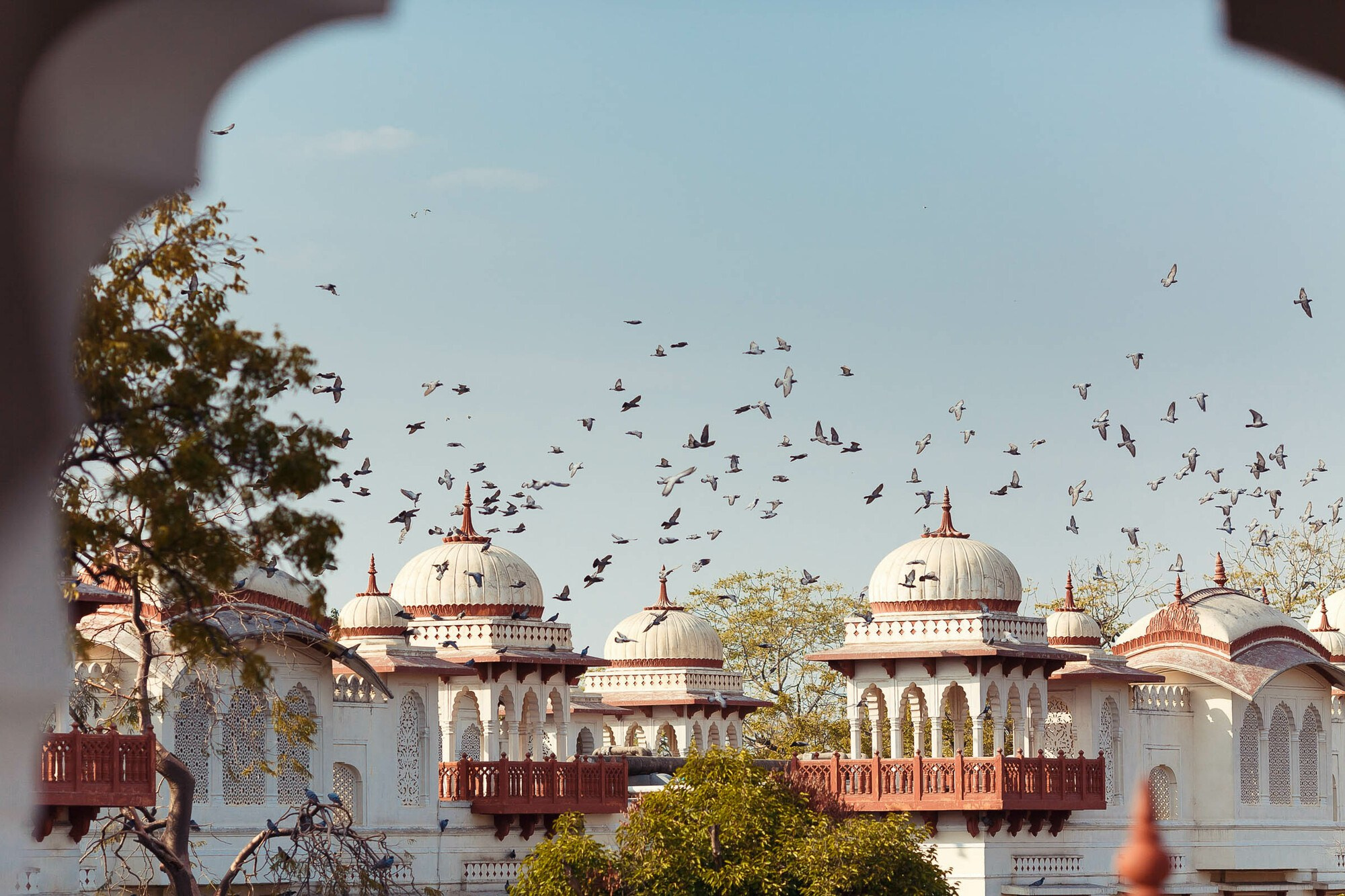 Свадьба в Индии, 3 день, прогулка. Свадебный фотограф в Санкт-Петербурге и Москве Андрей Нестеров