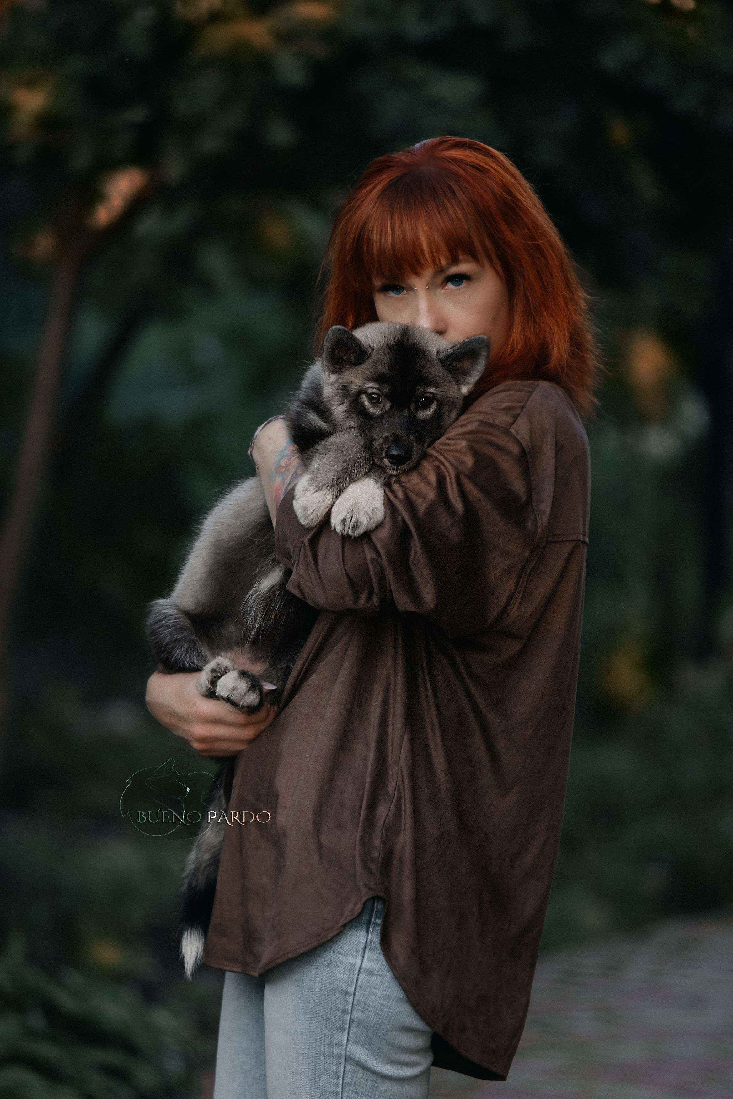 Щенки сибирского хаски из питомника. Питомник собак Акита, Хаски, Корги