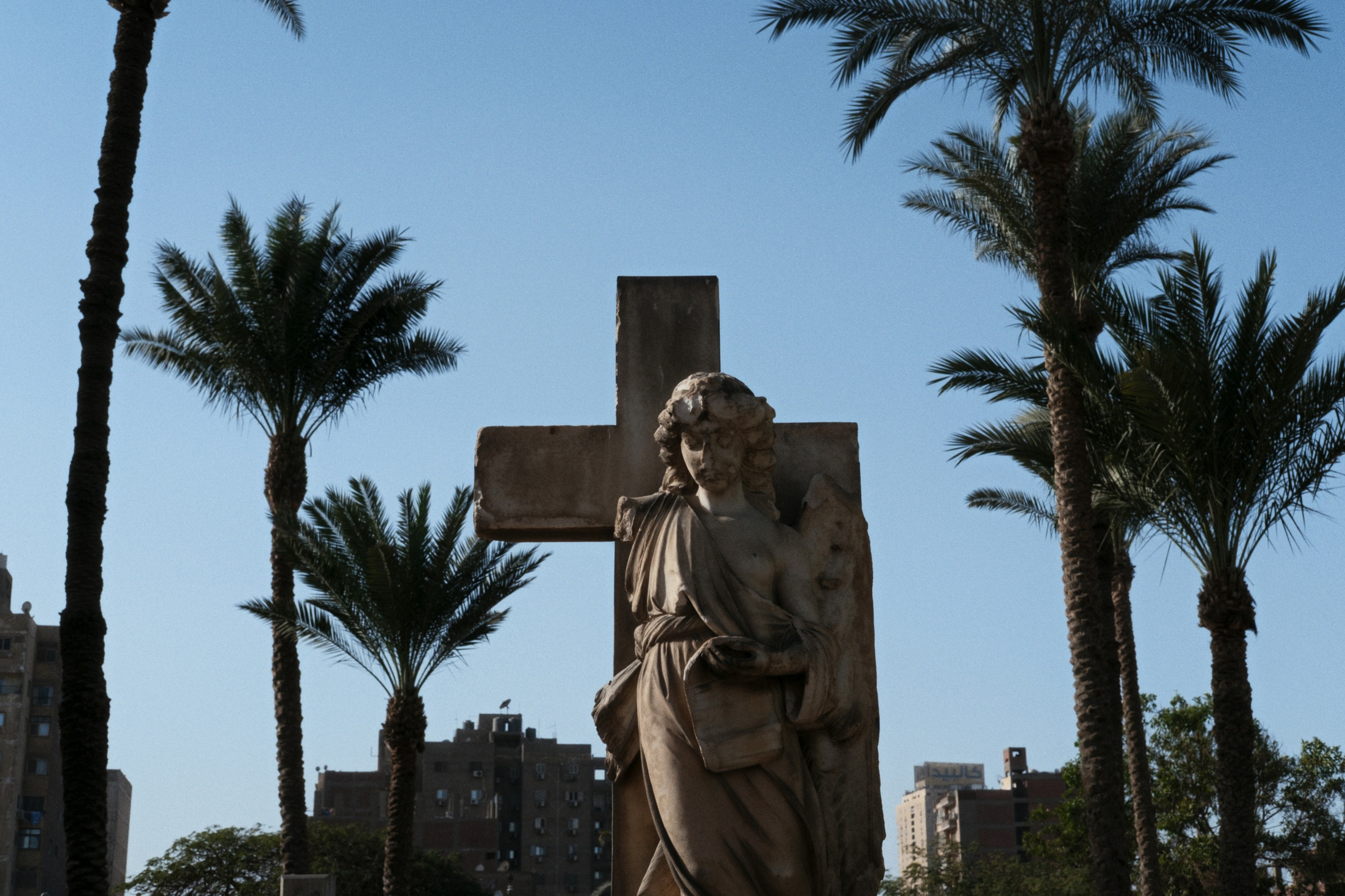 War Memorial Cemetery / Cairo, Egypt AW25. Фотограф Юрин Евгений
