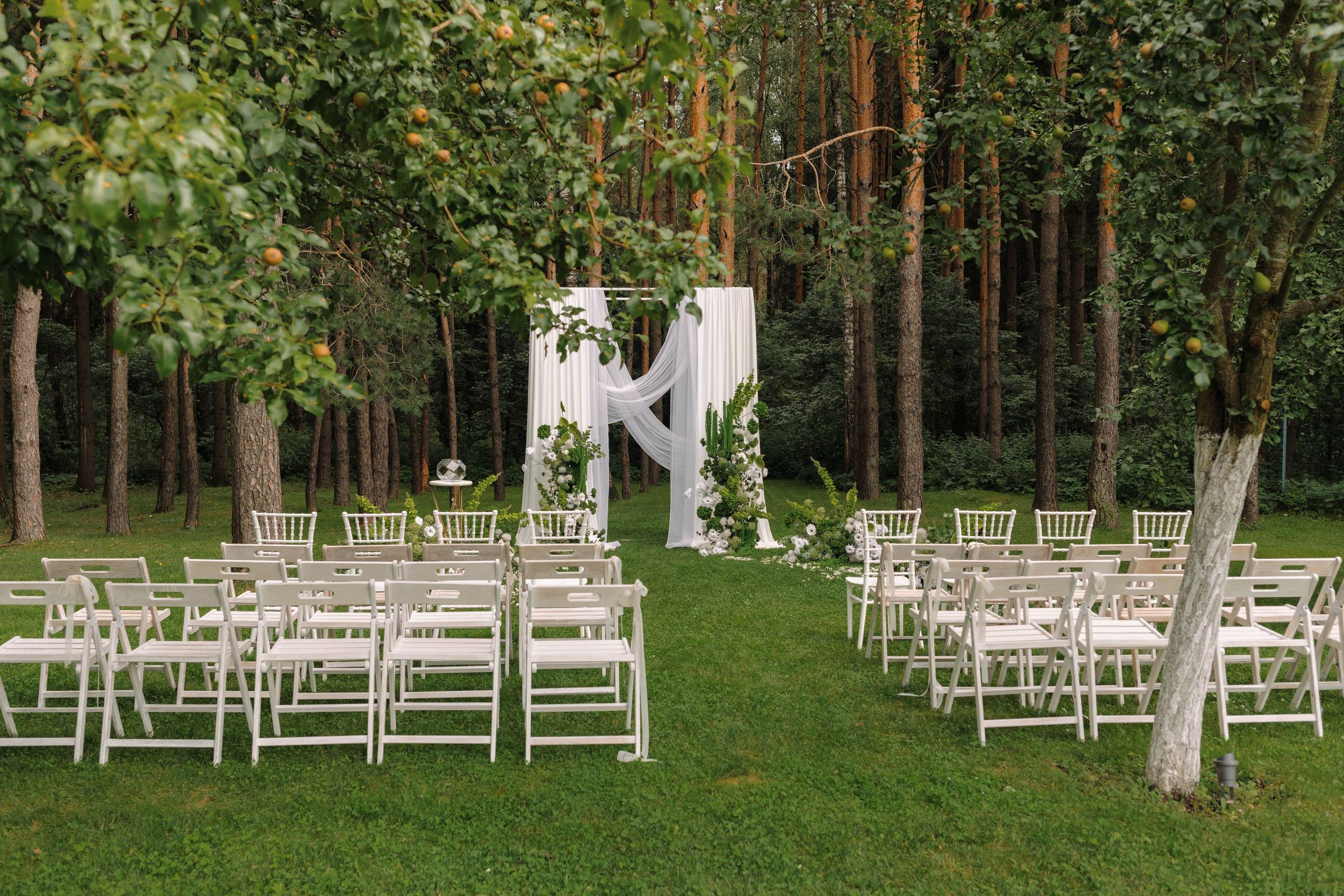 Зеленый сад