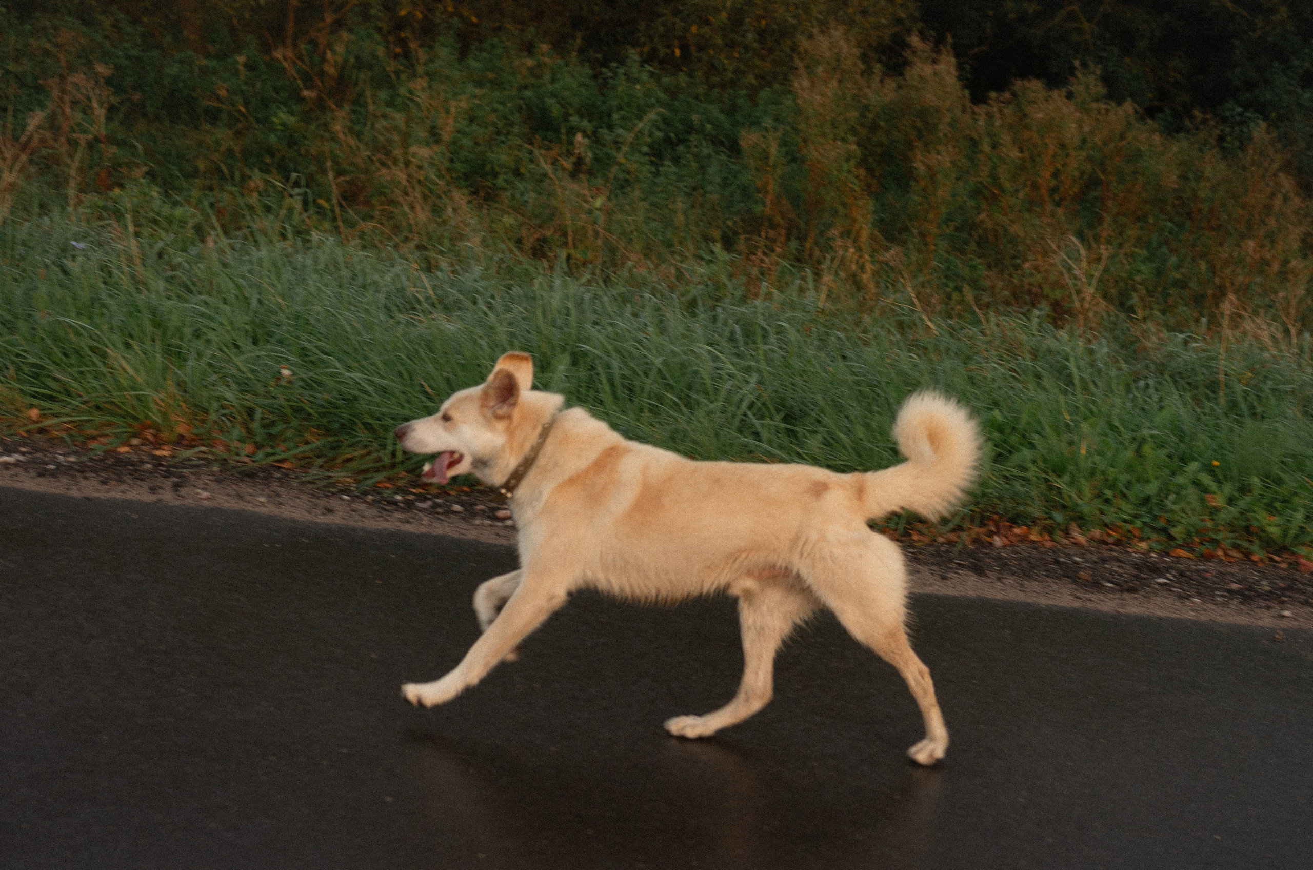Поход в сыроварню. Наталья Севрук — фотограф во Владимире