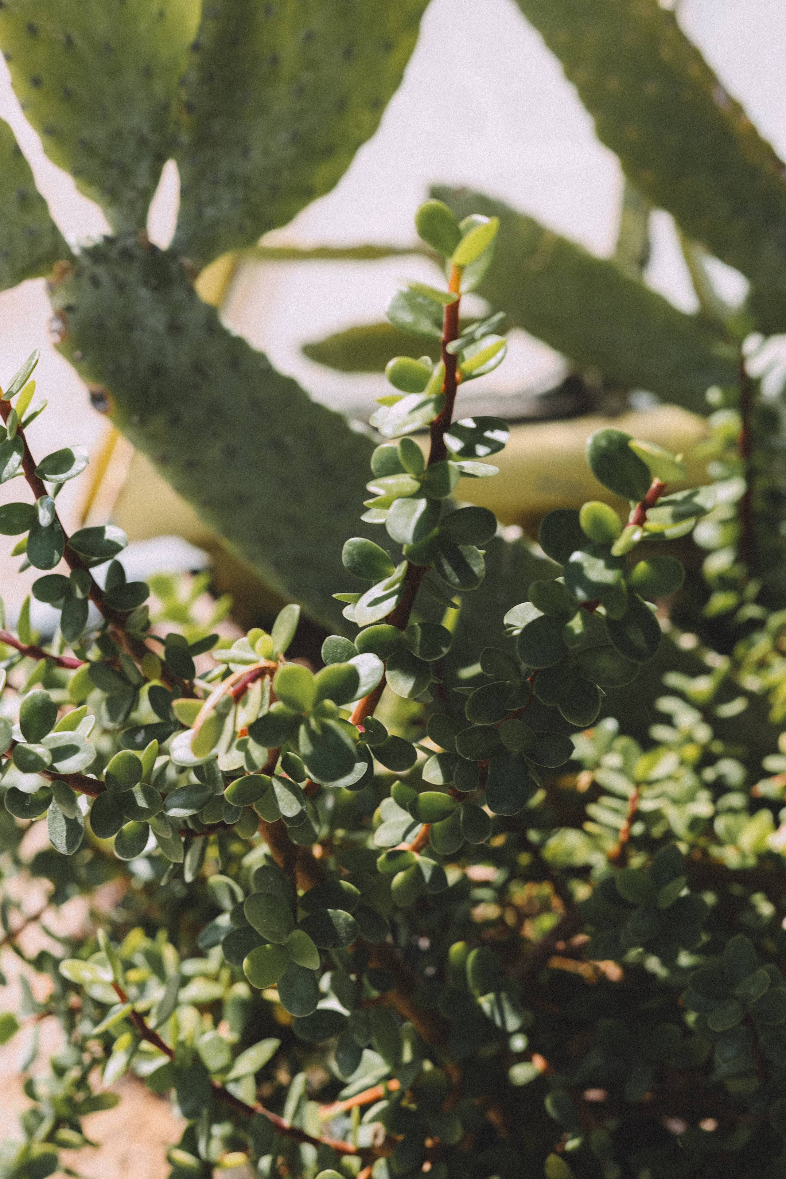 Nature. Оля Валиахметова — портретный и репортажный фотограф из Екатеринбурга