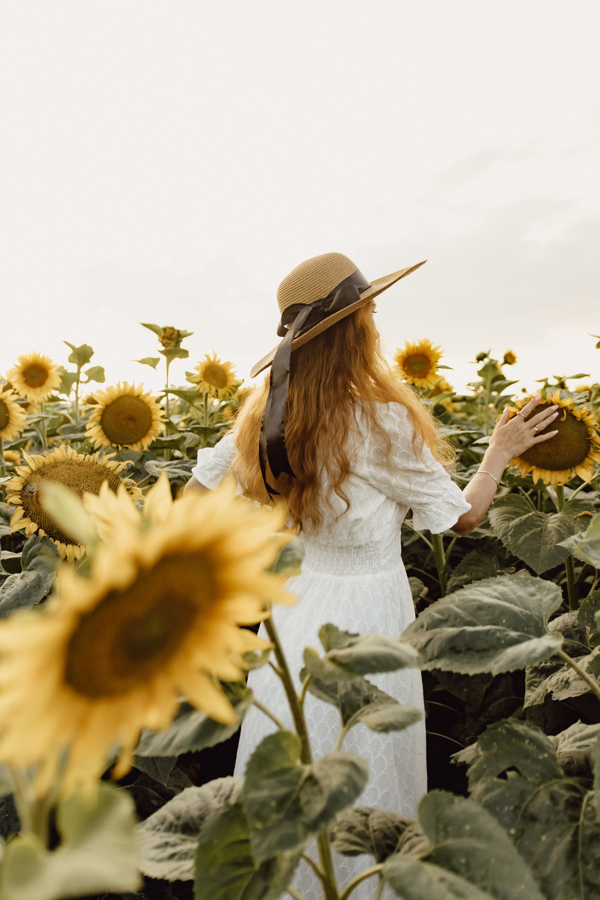 Елена в подсолнухах. Фотограф в Кирове и Кирово-Чепецке Валерия Шиляева
