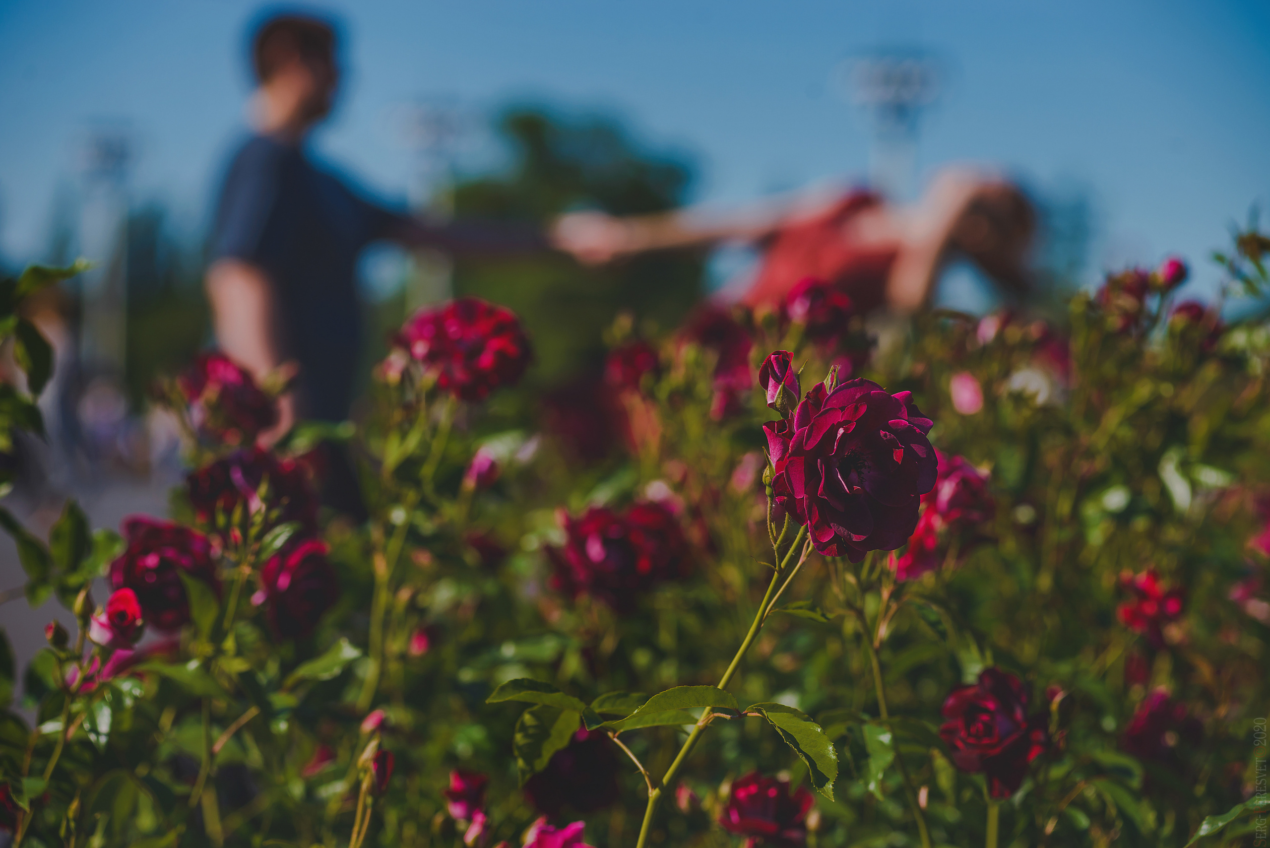 Фотосессия лав стори (love story) в Москве - Сергей Пересвет. Ваш фотограф на праздник в Москве, Раменском, Жуковском, Люберцах