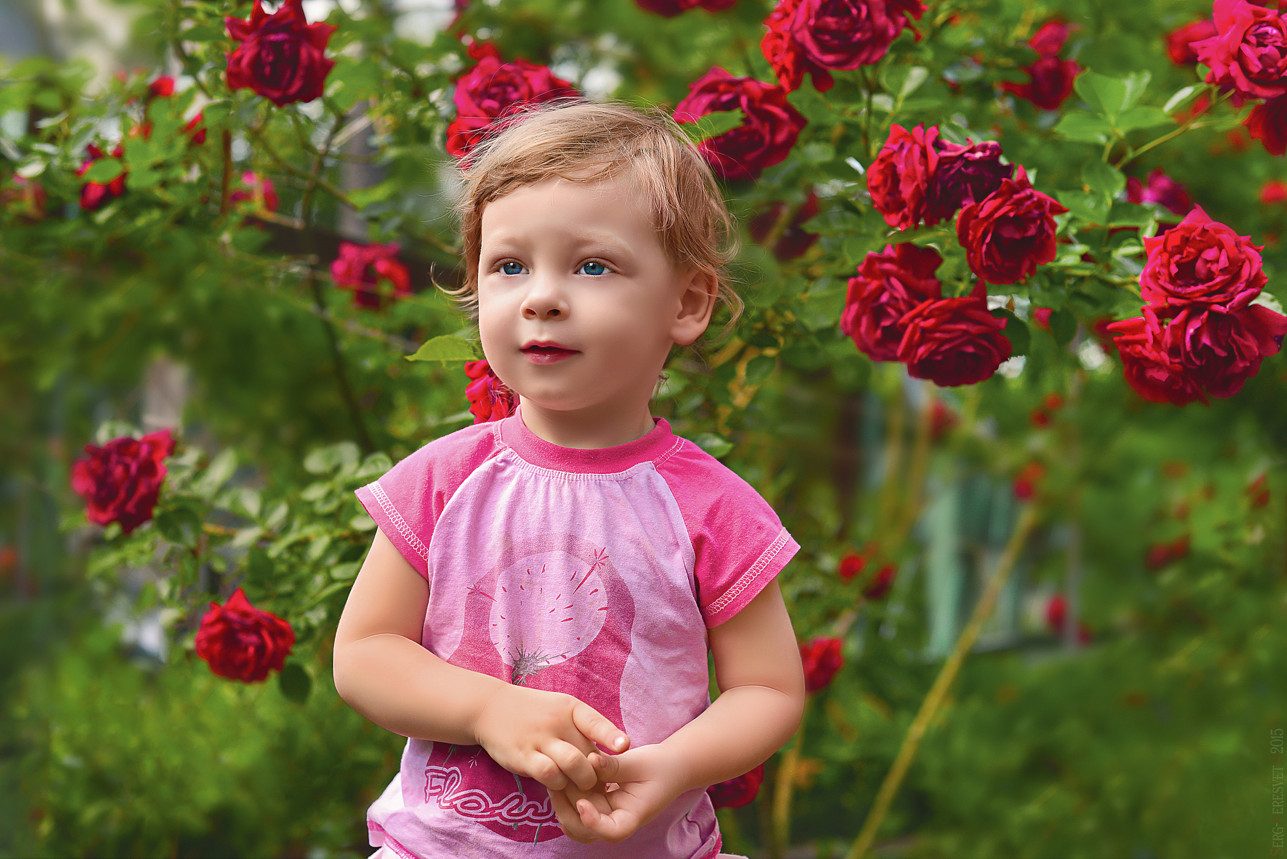 Детские и семейные фотосессии в Москве, фотограф Сергей Пересвет. Ваш фотограф на праздник в Москве, Раменском, Жуковском, Люберцах
