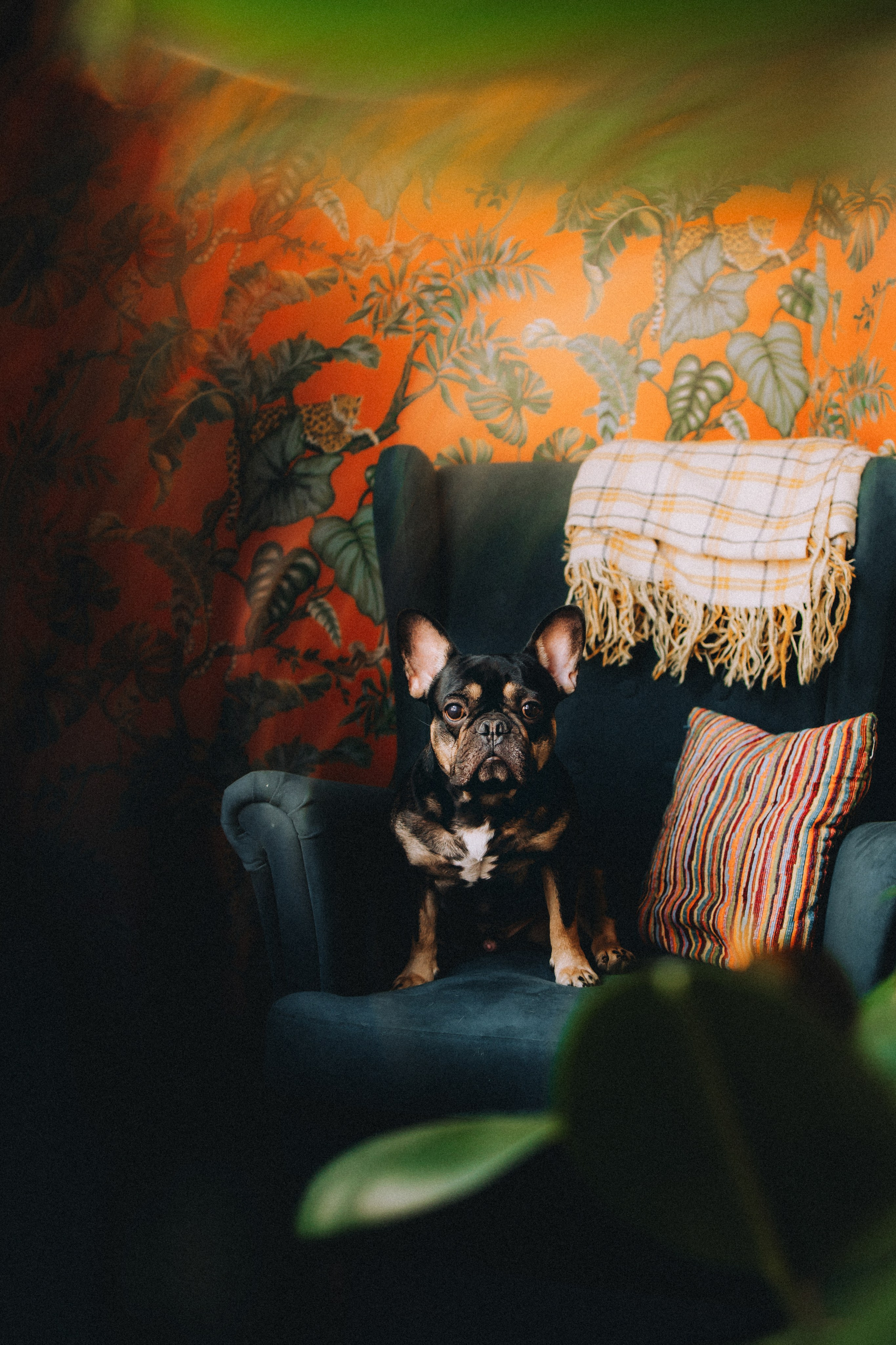 Юля, Мия и Зек