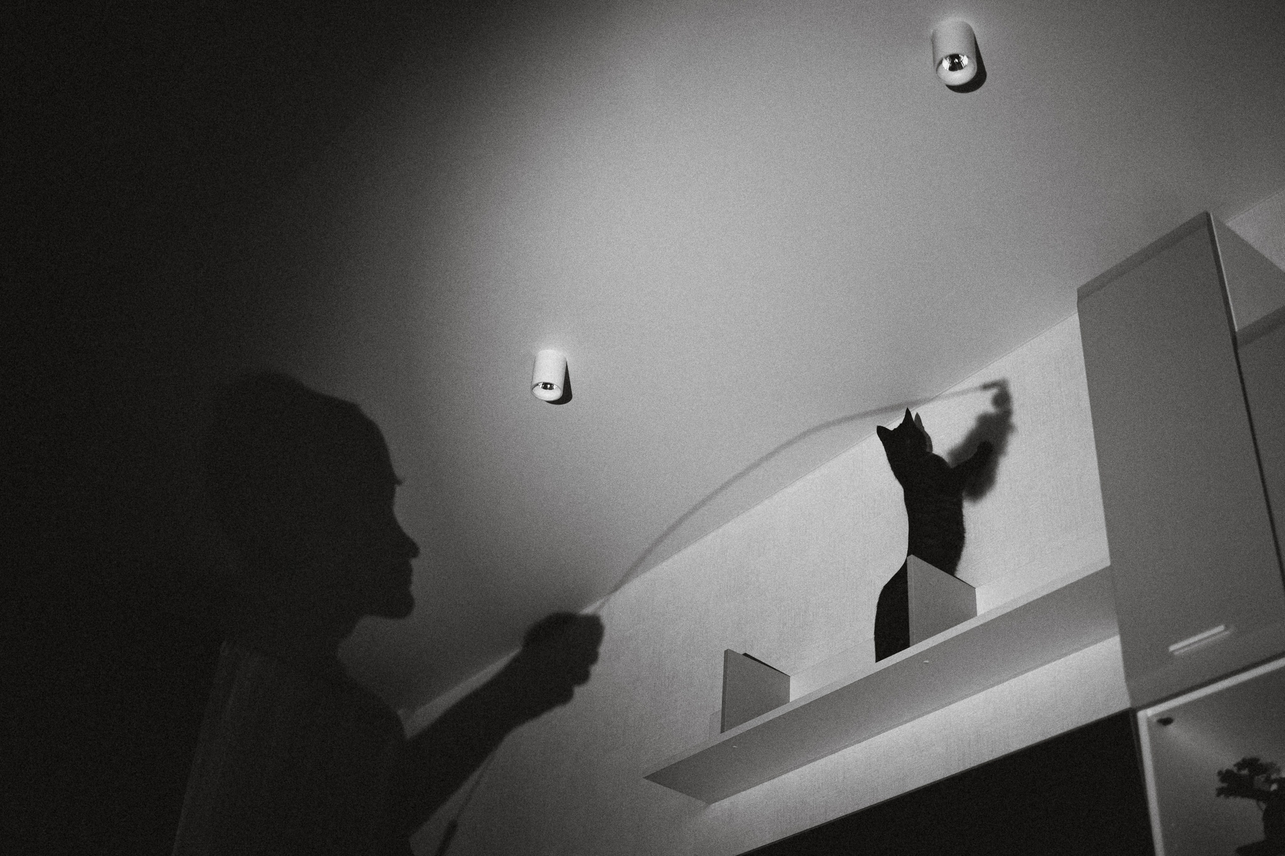 Рыся, Кепа и их семья