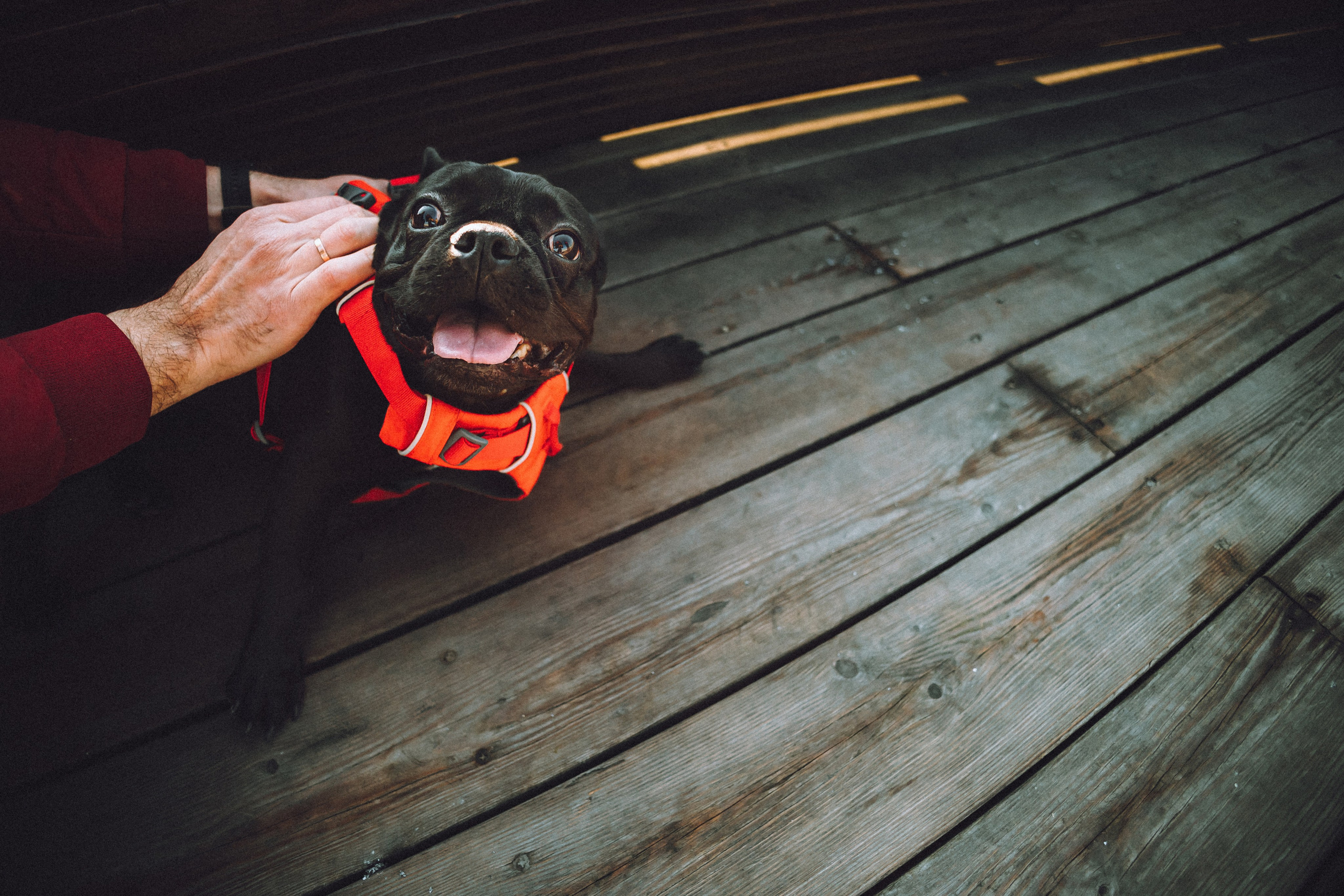 Саша, Дима и Шпуля