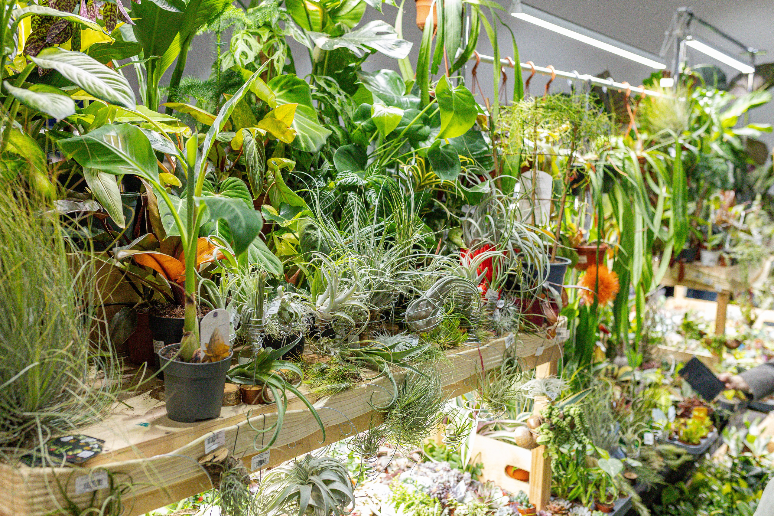 Монстериум апрель 2026. Александра Куликова фотограф, Москва