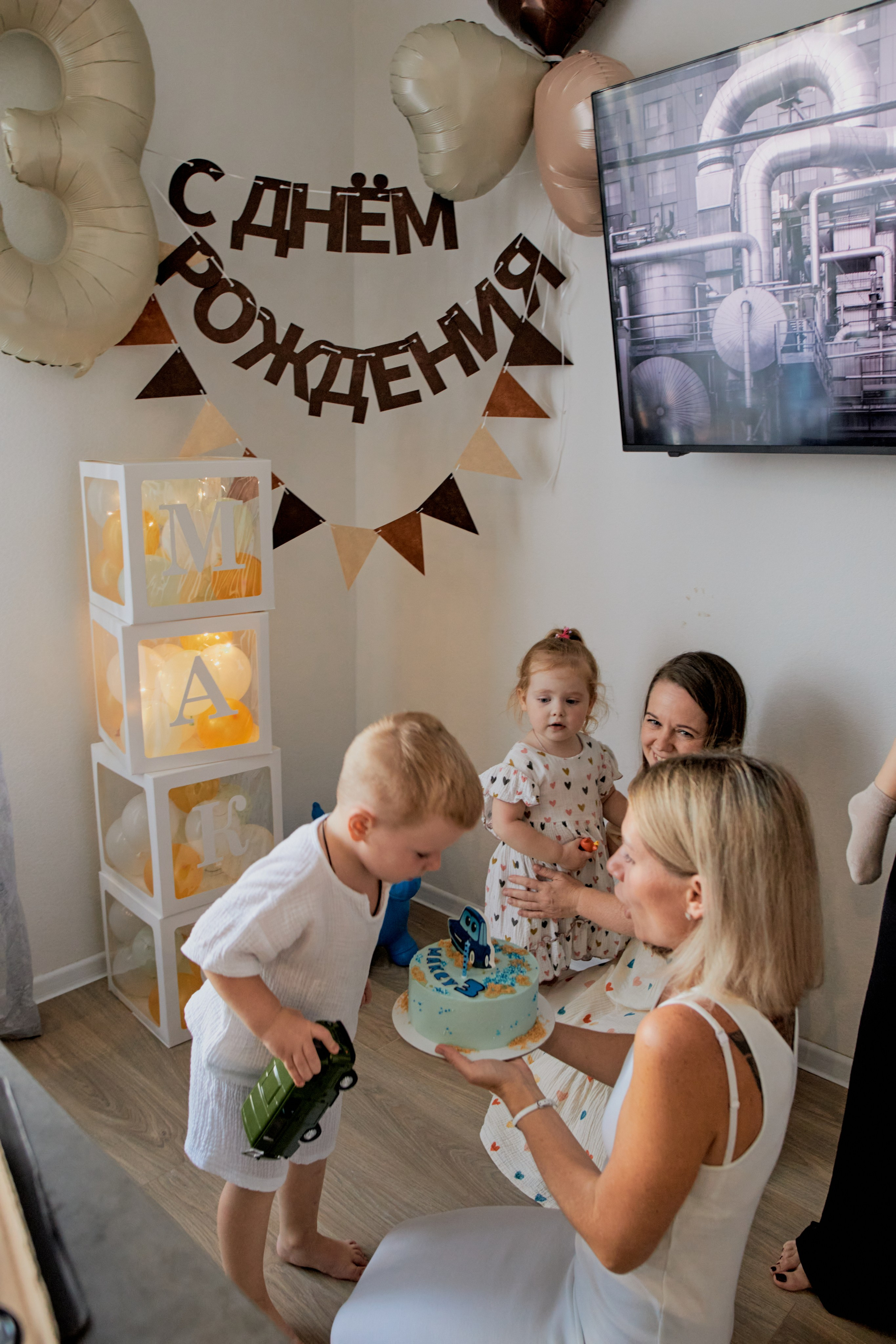 Три кота. Фотограф Москва