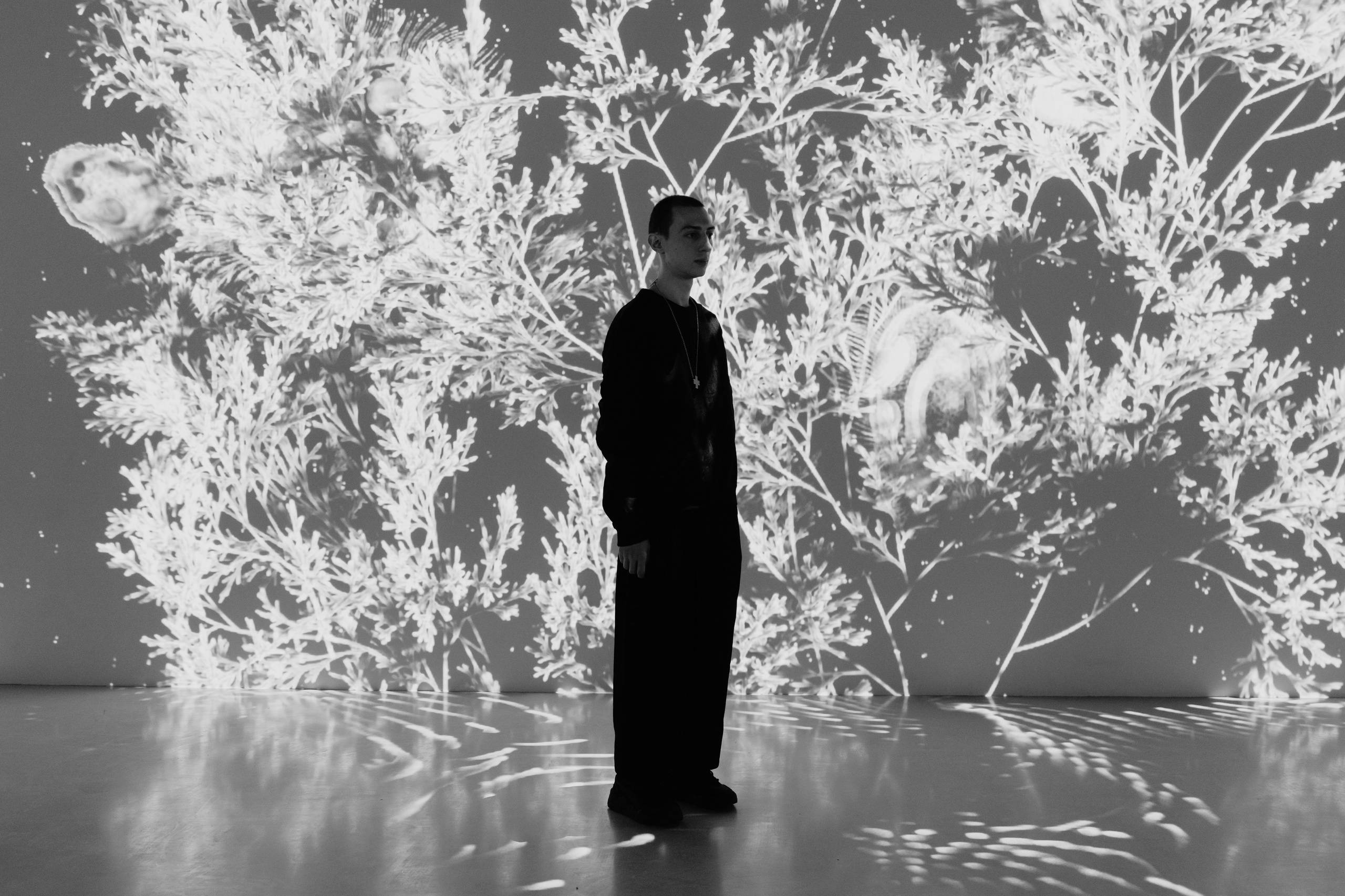 Generative Gallery & Luminar X, Making Magic. @tomrus: Рустам Шагиморданов — фотограф