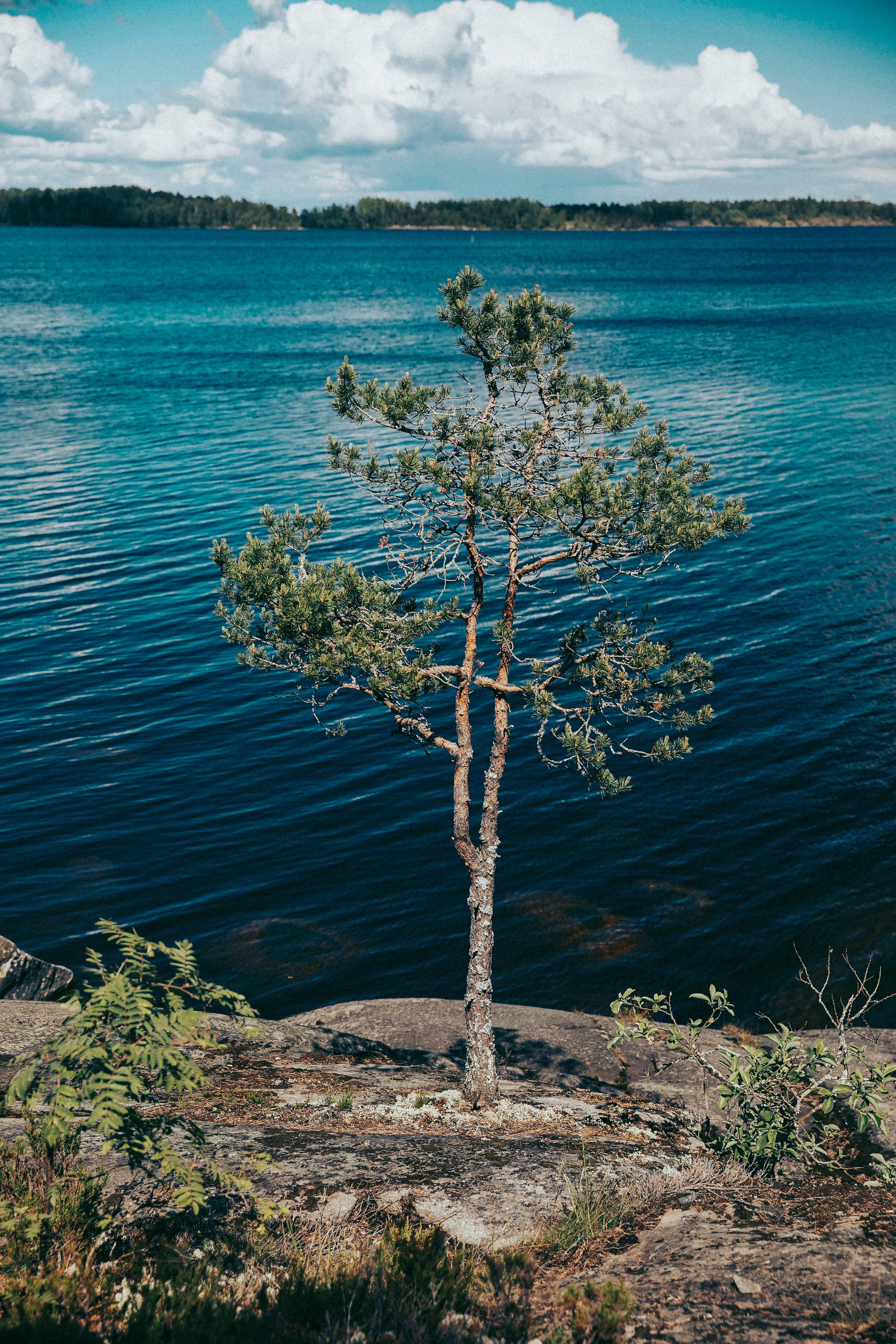 Папа и дочка. Фотограф в Москве Шаганова Нина