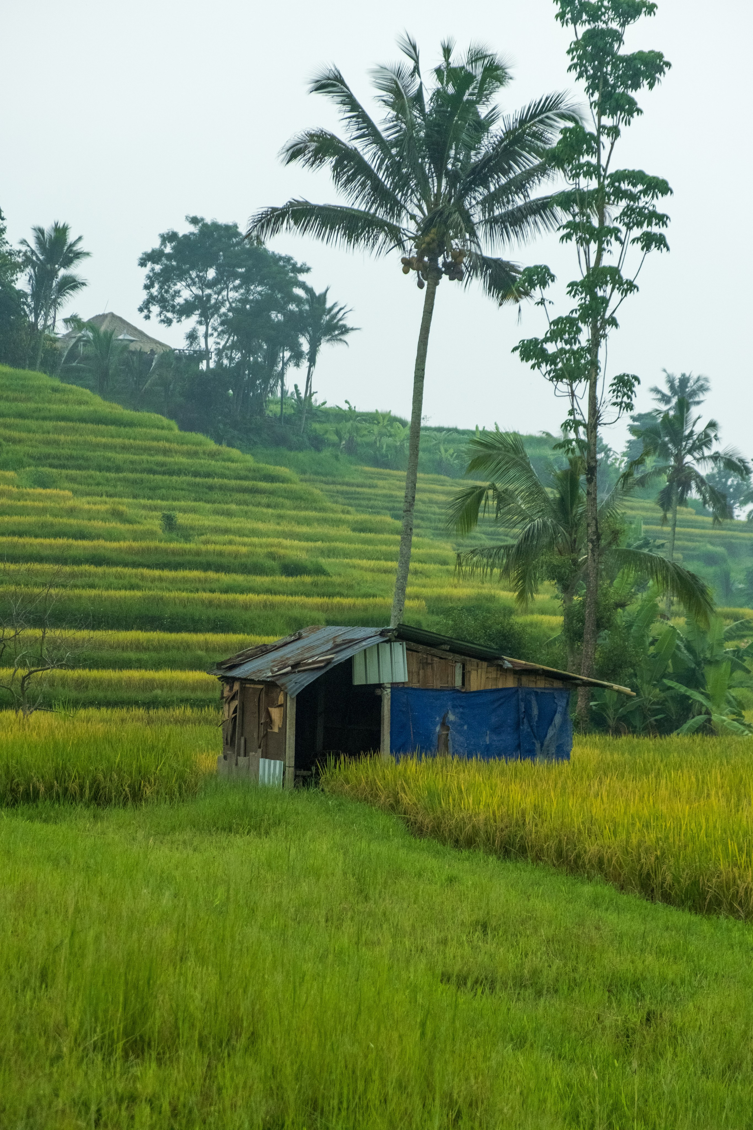 Остров Бали. Фотографии из путешествий