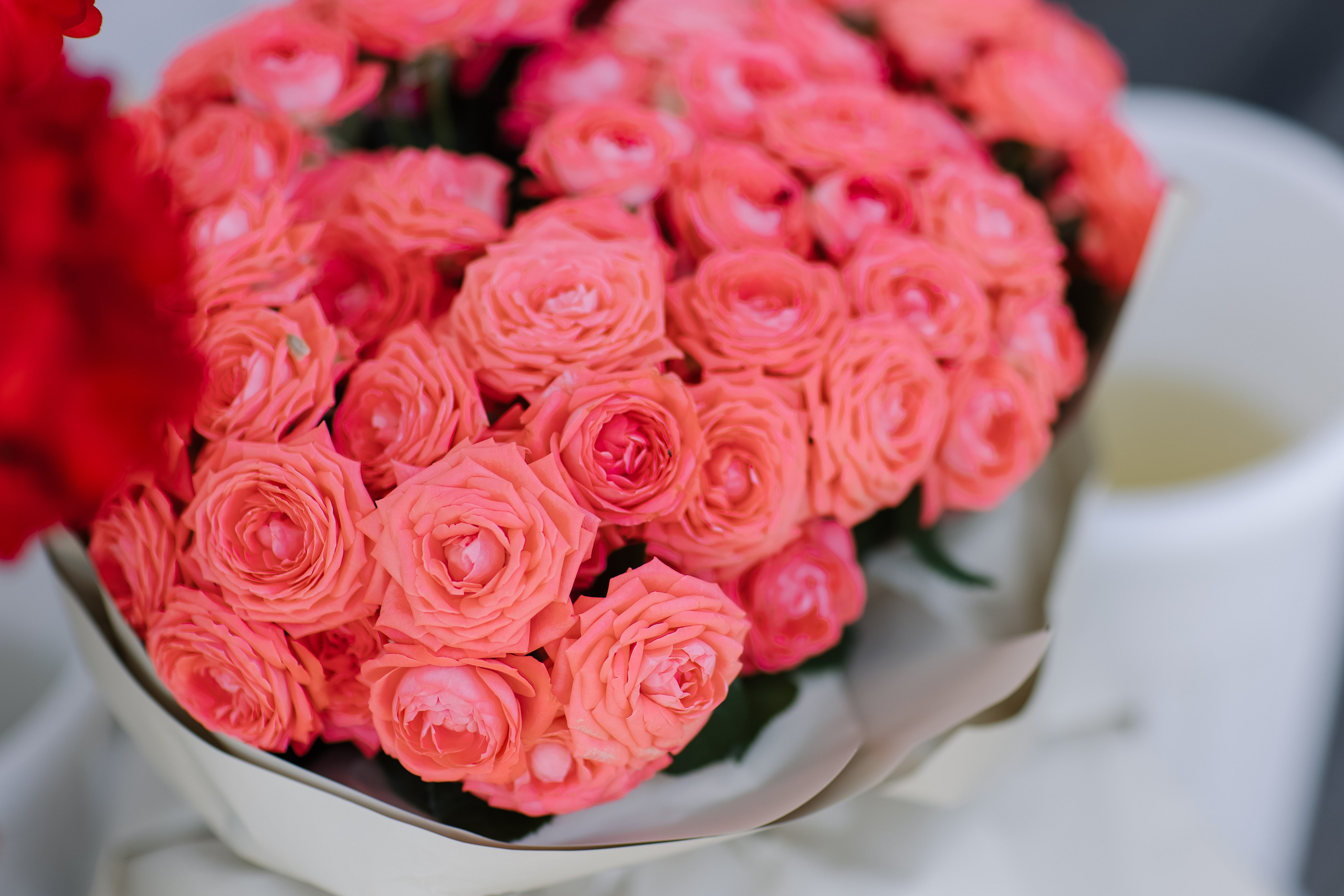 Aleksey&Viktoriya. Свадебный фотограф