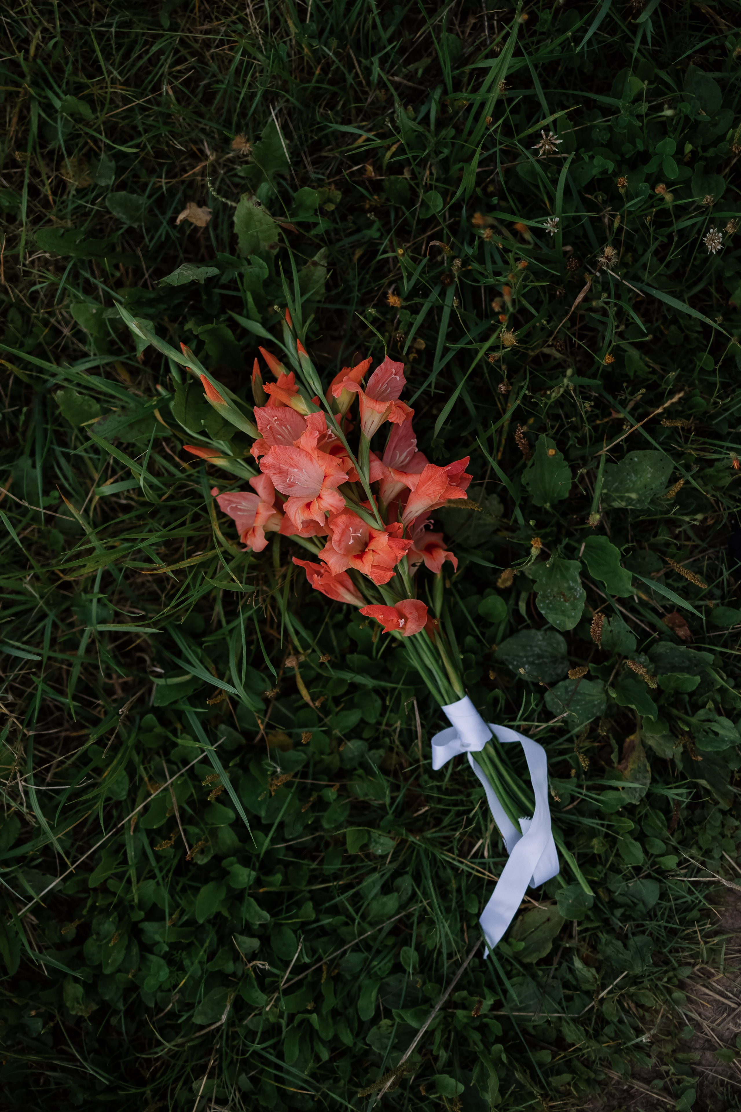 Русалина. Свадебный фотограф