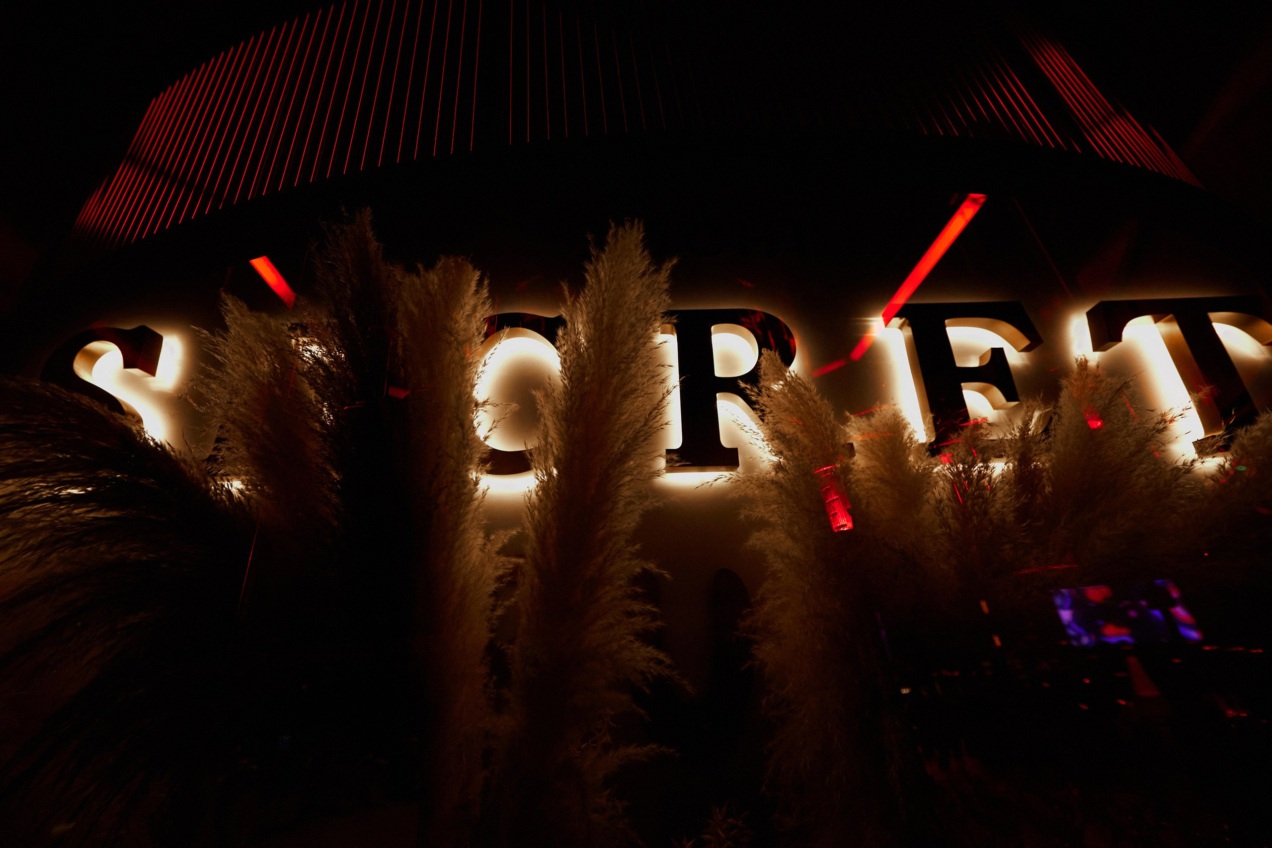 Dj Nils в Сочи. RetroChic Фото