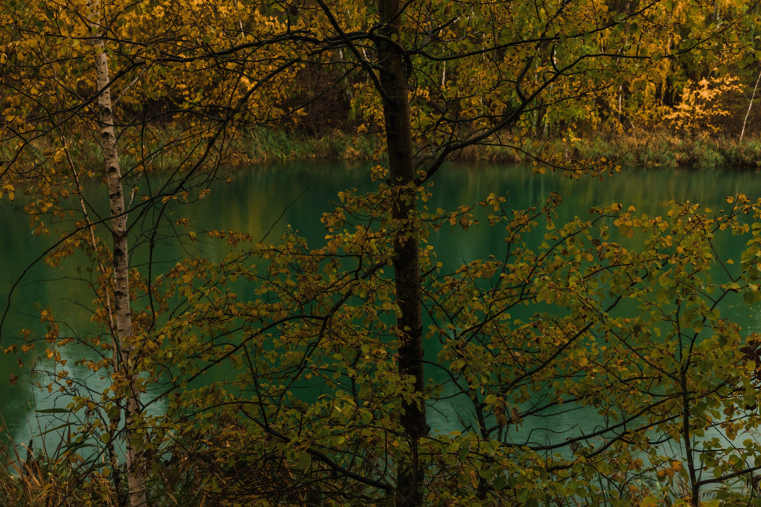 Кондуки. Октябрь 2023. Фотографии