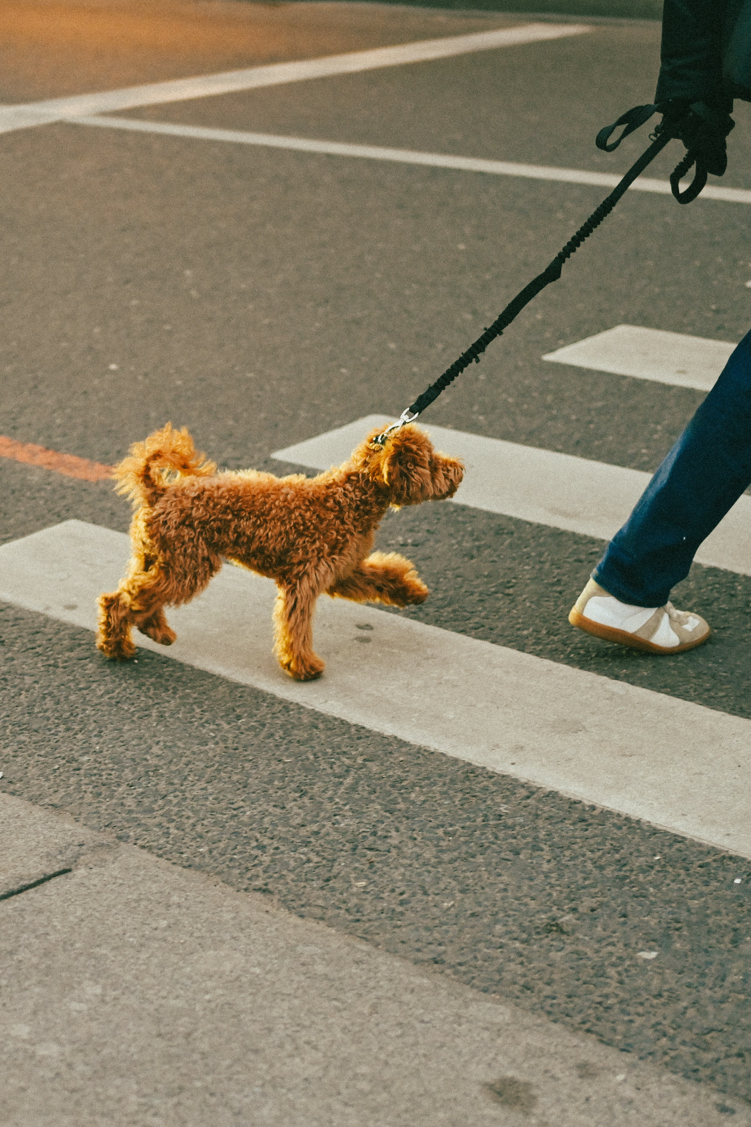 Стрит фото Москва. Фотограф Лобанов Антон, г. Москва