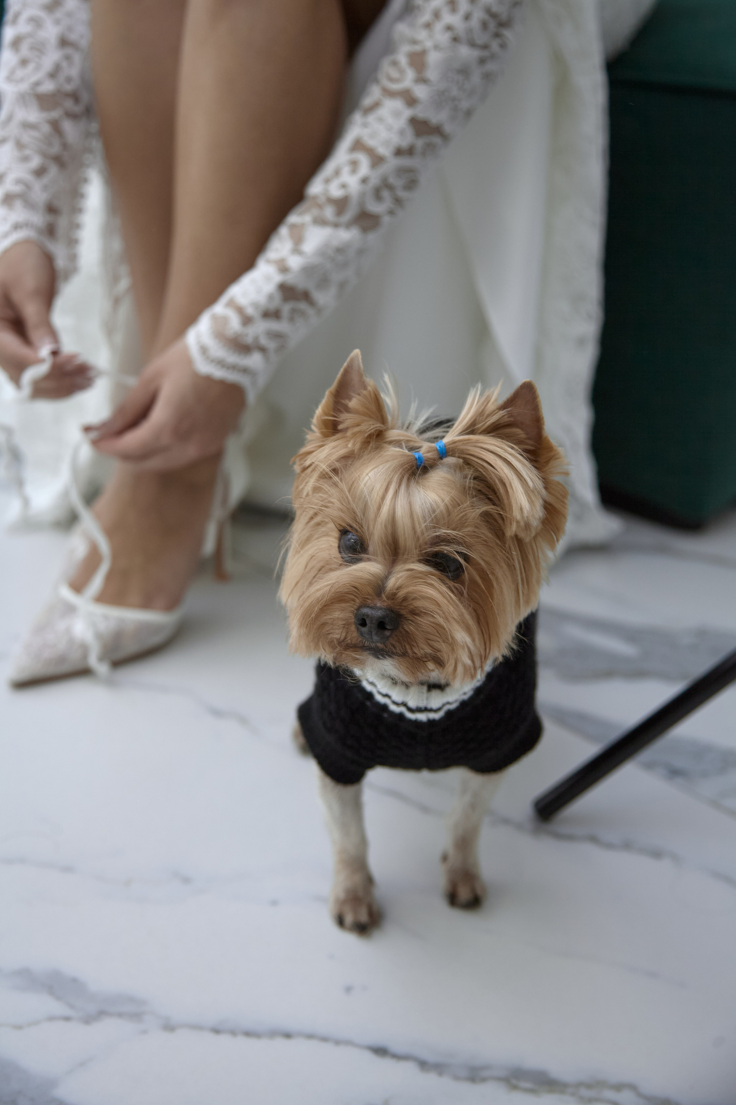 Вилен & Алиса. Фотограф|Ретушер| Екатерина Гришанова|Челябинск