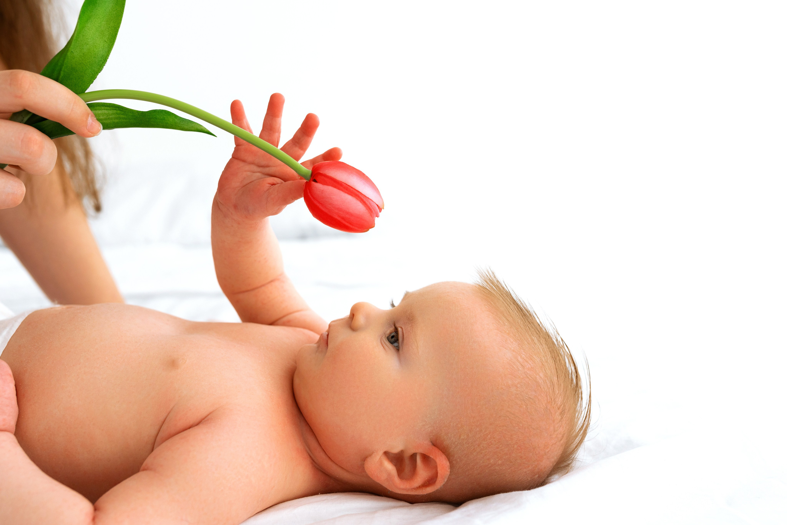 Эллай (6 месяцев)