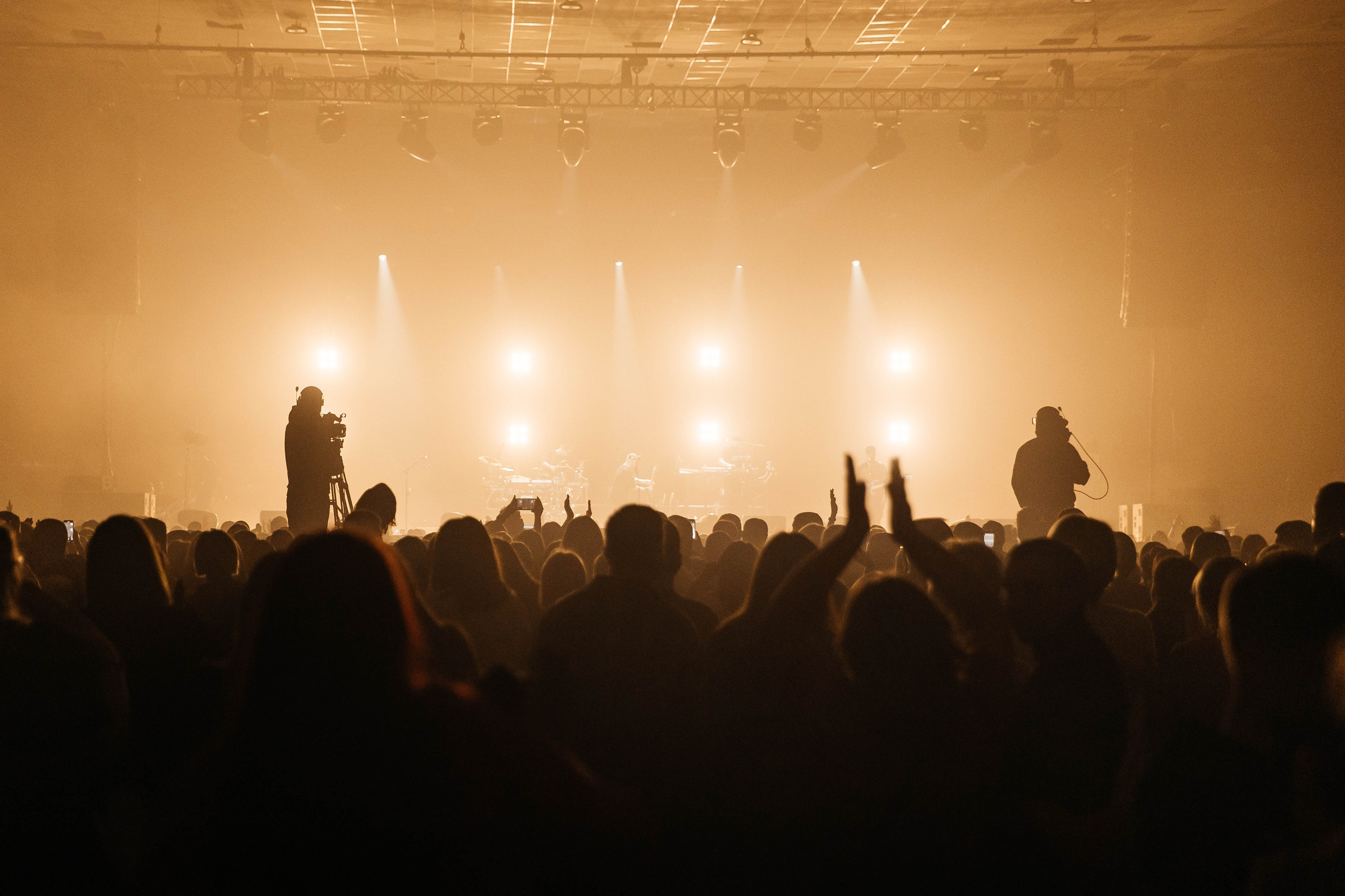 Звери. _Carpe diem_