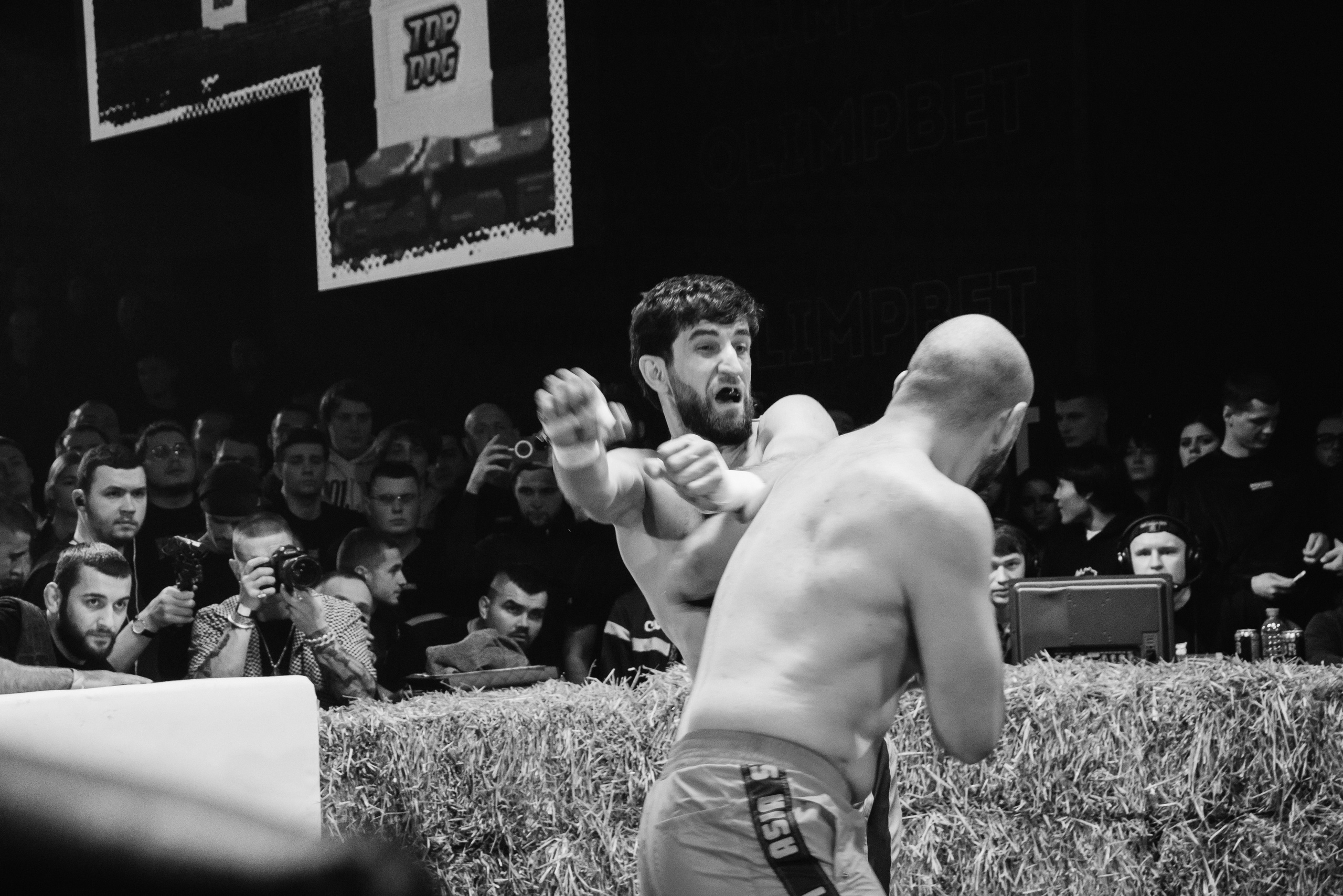 Кулачные бои TopDog. Анастасия Тен