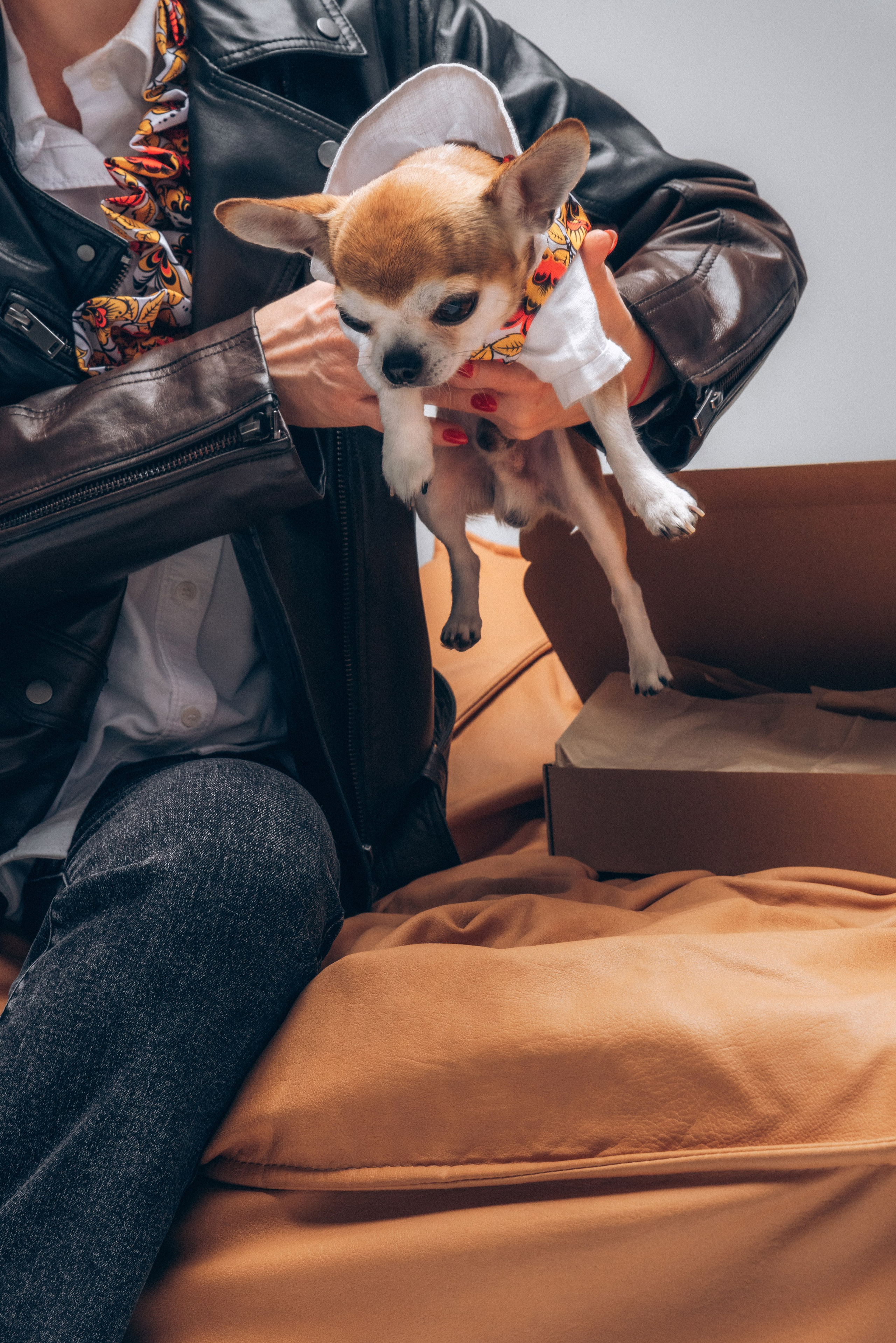 Лена для дома моды. Ольга Козлова фотограф Волгоград olkiny-fotki.ru