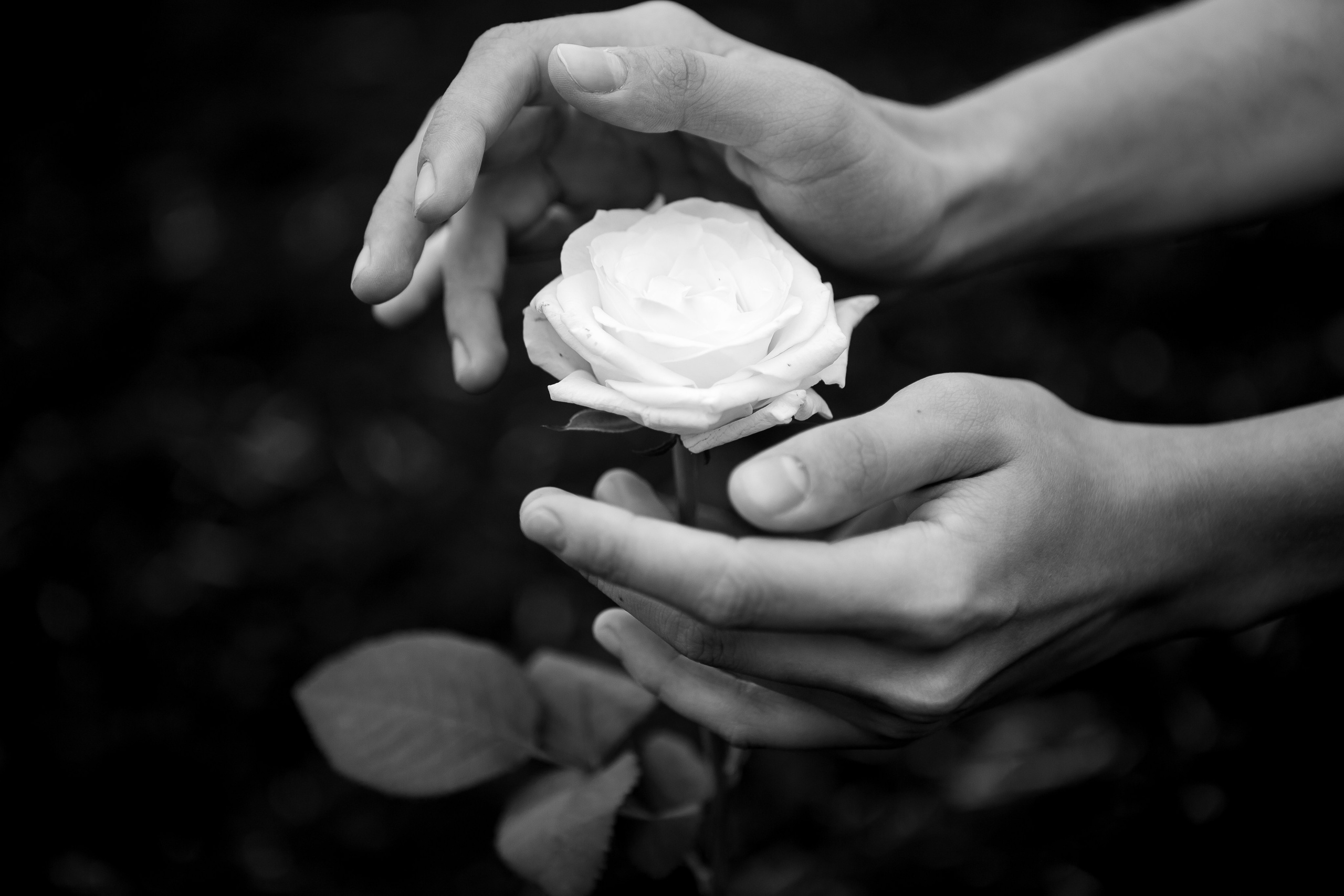 Мария. Свадебный и портретный фотограф в Красноярске Алина Семенихина