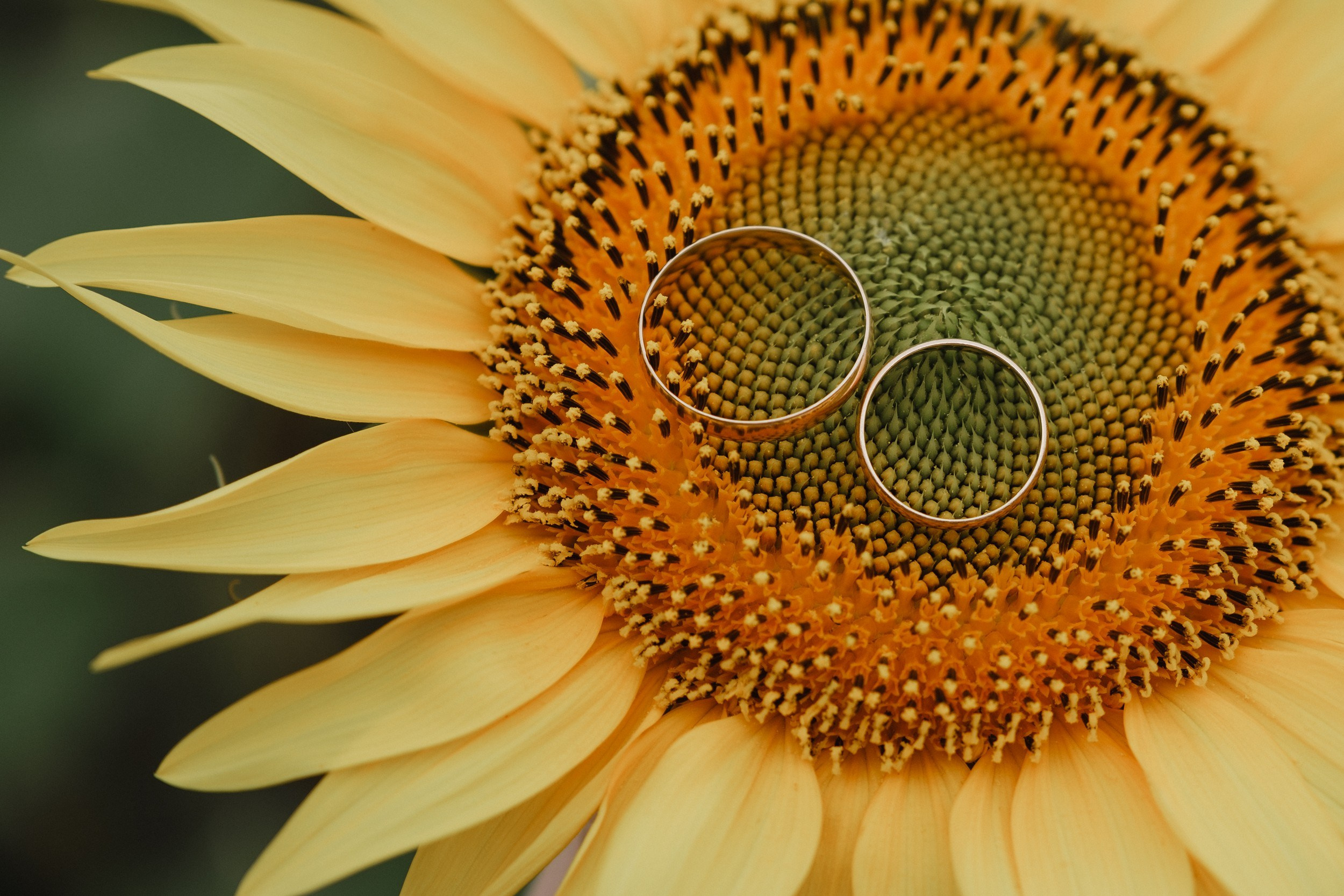 Богдан и Юлия. Свадебный и семейный фотограф в Волгограде