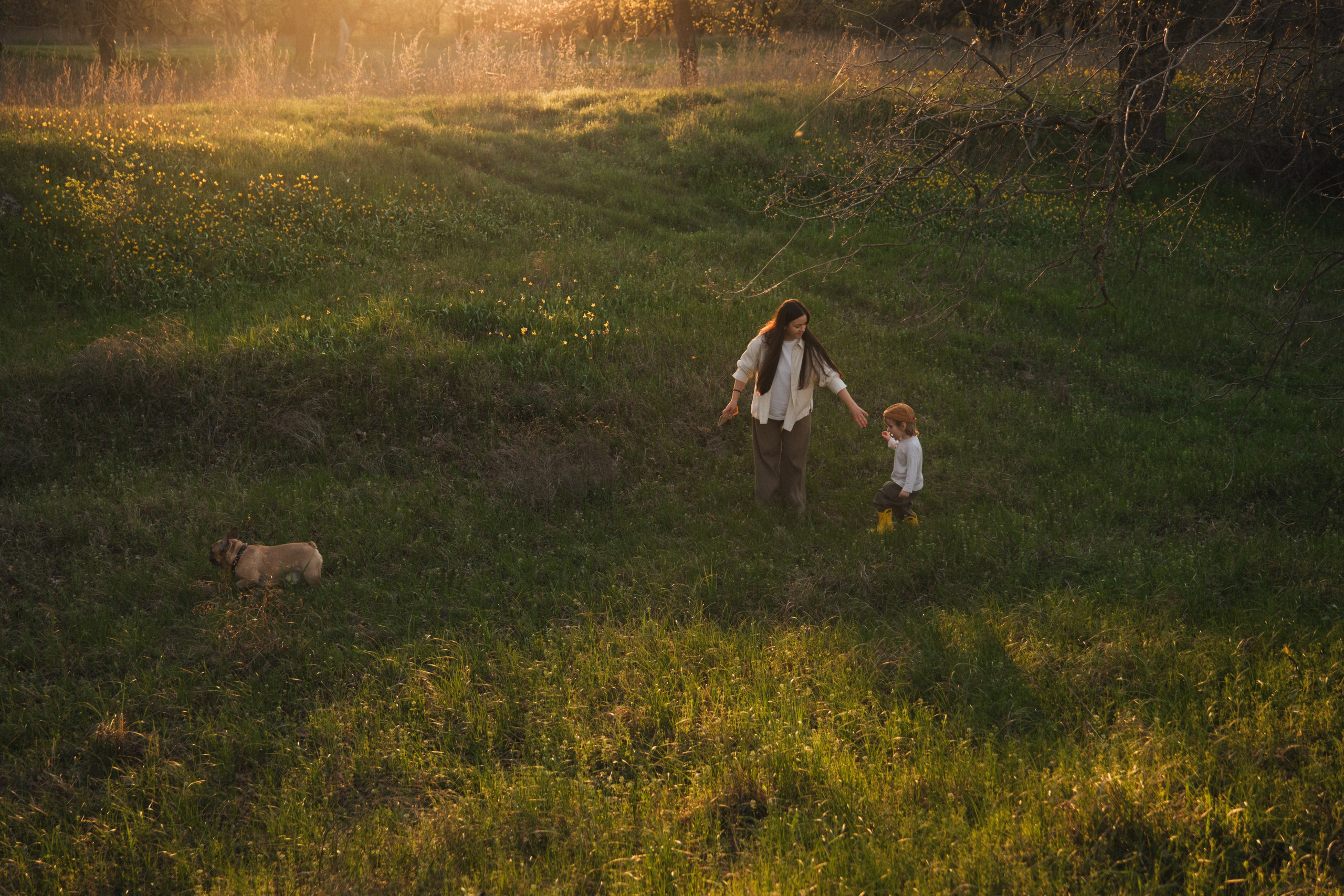 Катя, Глеб и Буч. Свадебный и семейный фотограф в Волгограде