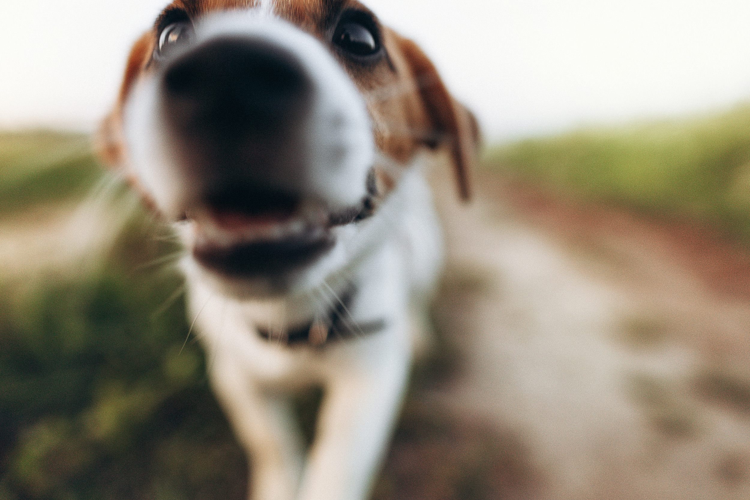 Саша и Кирилл. Семейный, свадебный и персональный фотограф в Вологде Виктория Долгопо