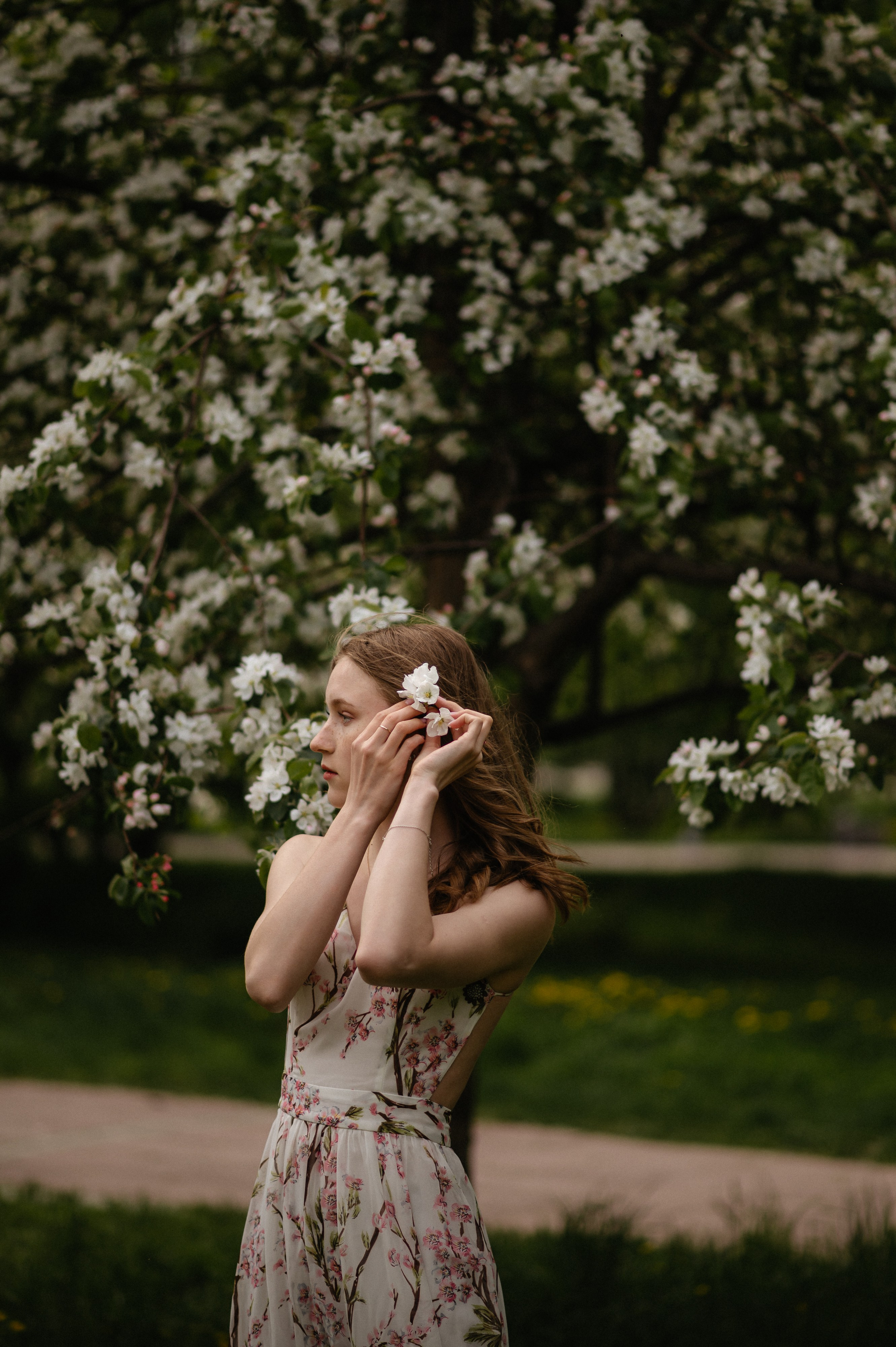 Ксюша, цветение. Главная