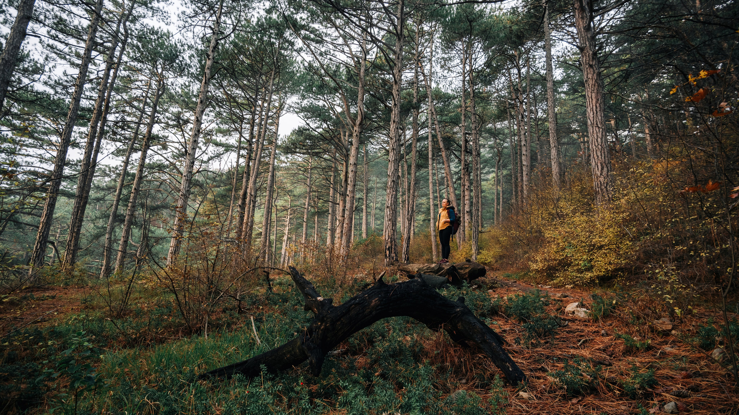 Пейзажи. Дмитрий Шалыгин — Ваш фотограф в Севастополе и Крыму