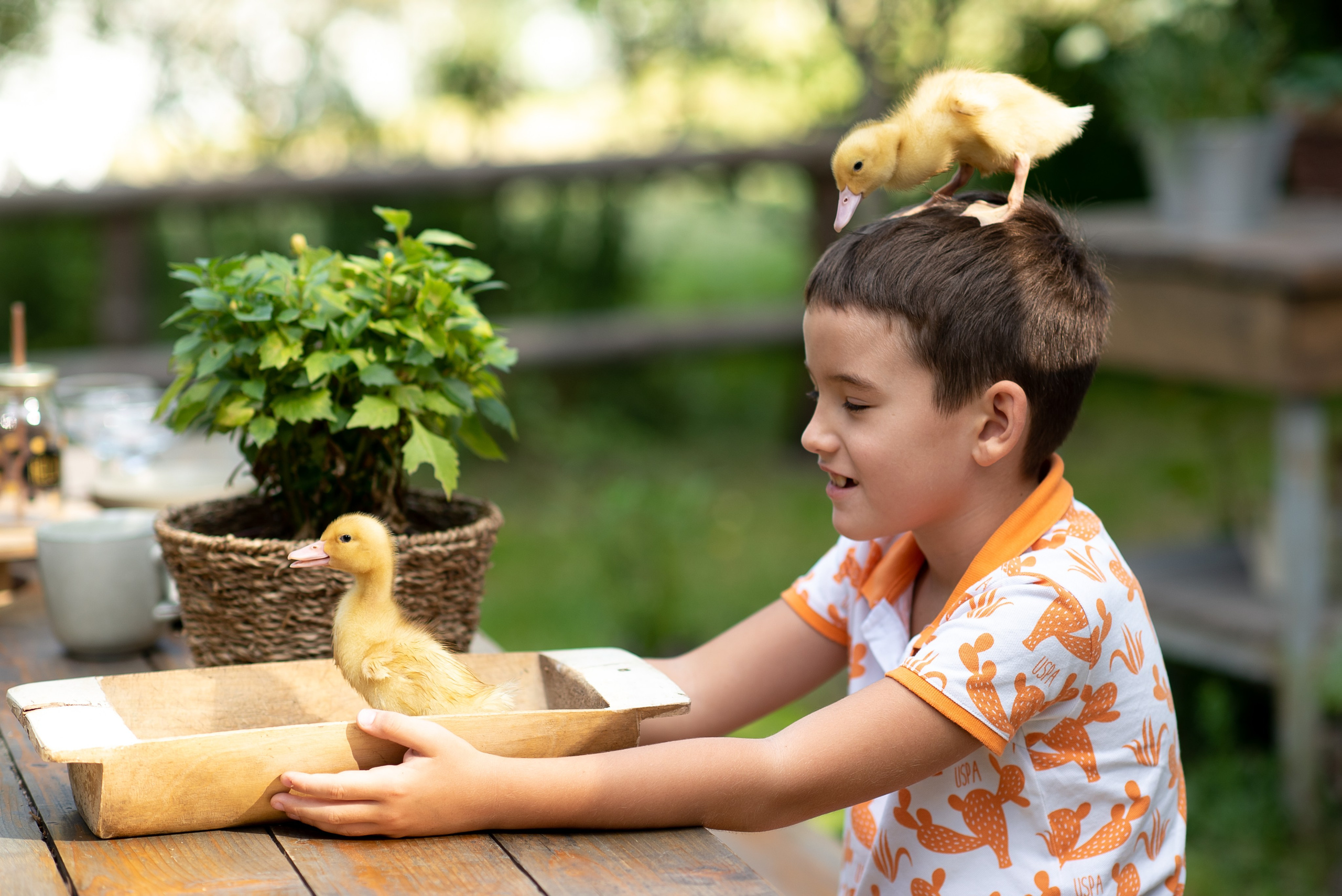 Фотостудия Лес Чудес. Фотограф Мария Усманова, Казань