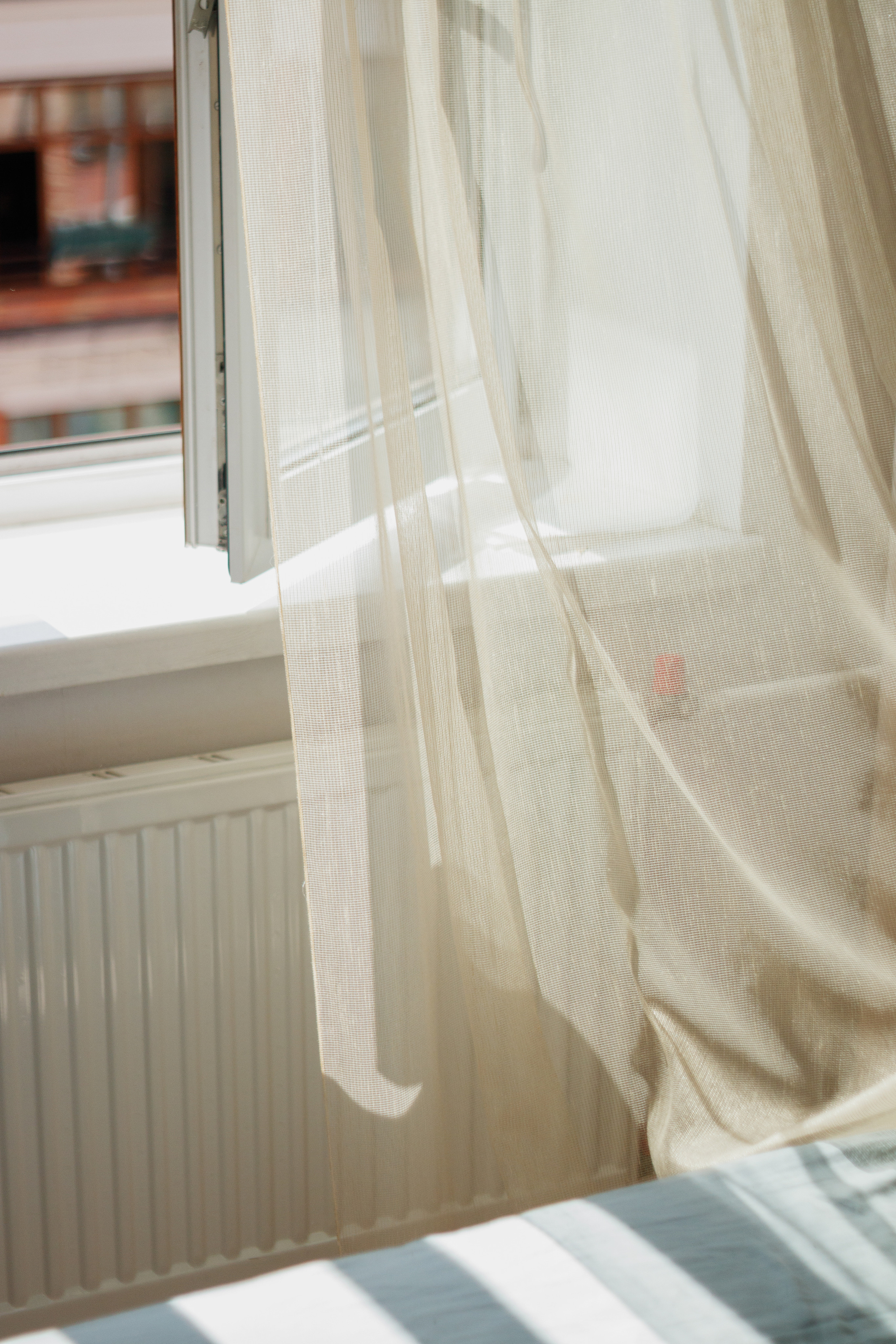 Nature and still life. Photographer Tbilisi