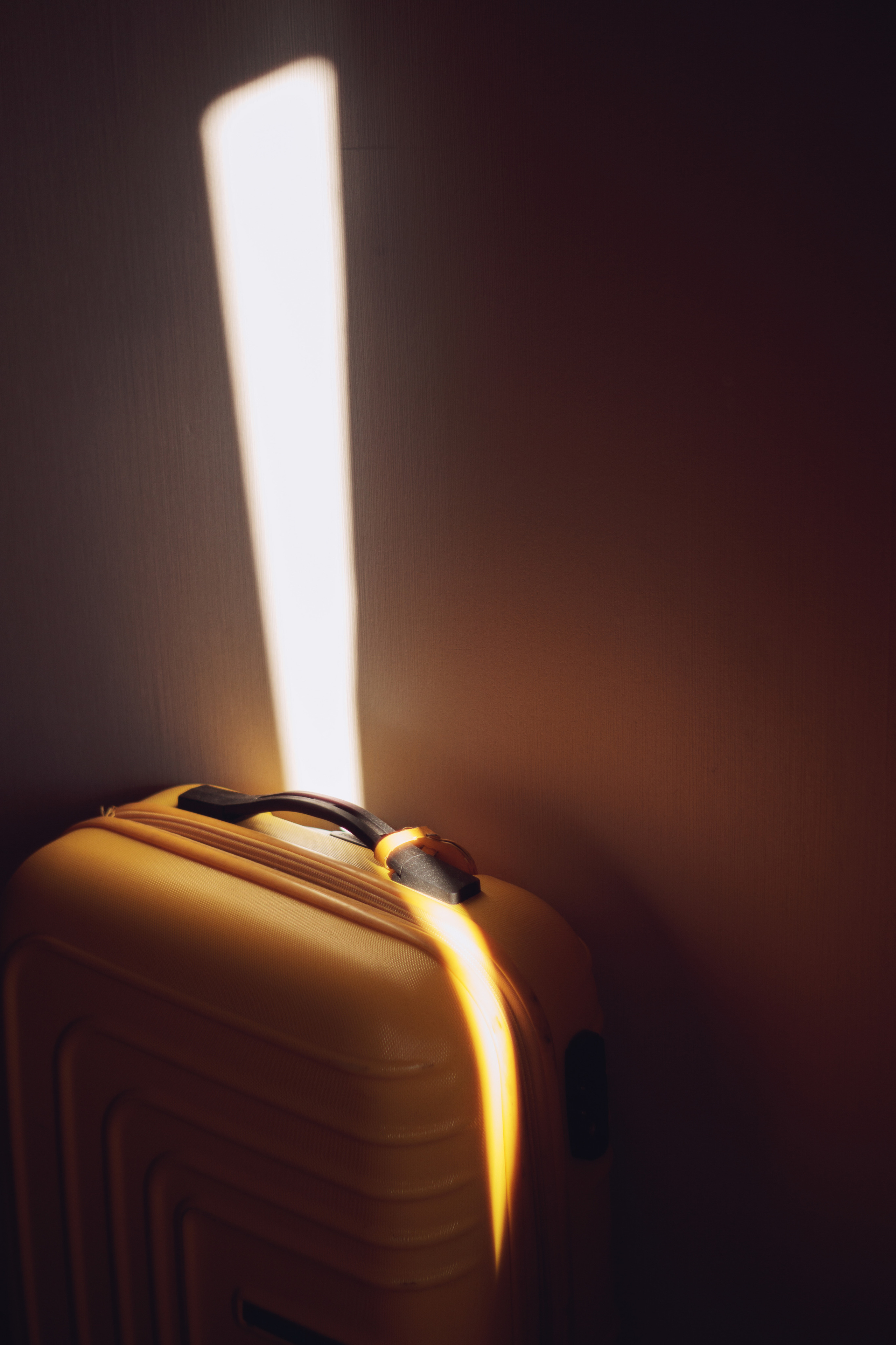 Nature and still life. Photographer Tbilisi