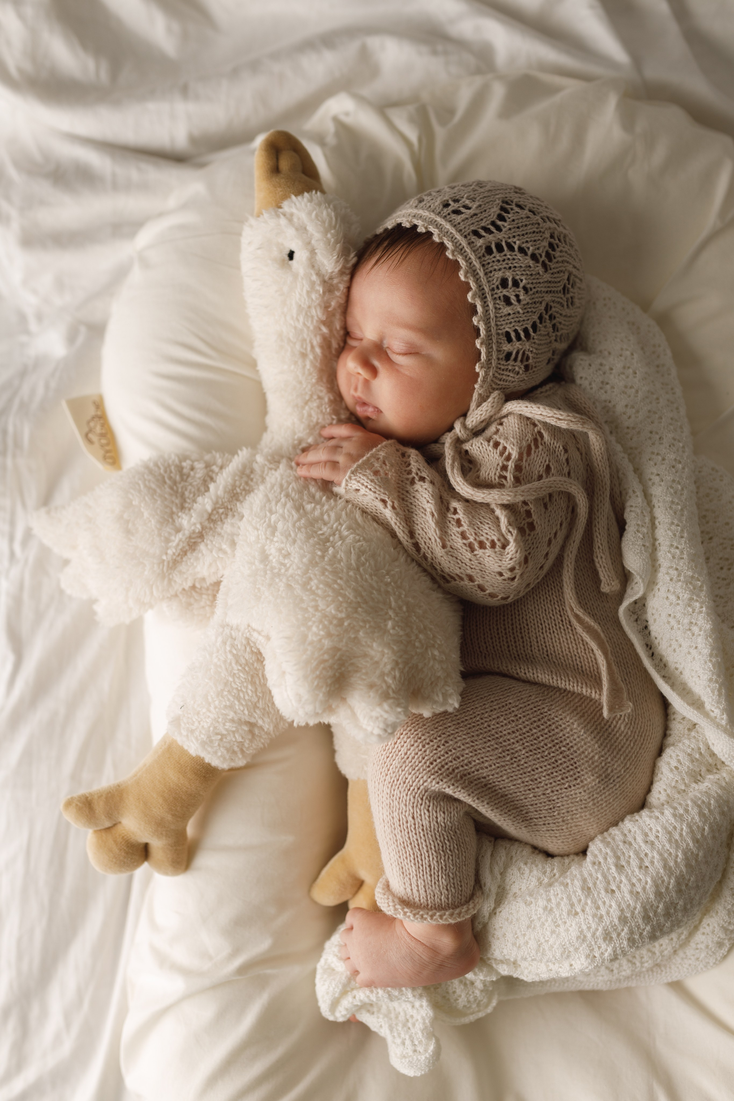 Новорожденность. Детский Фотограф Анжелика Газиева