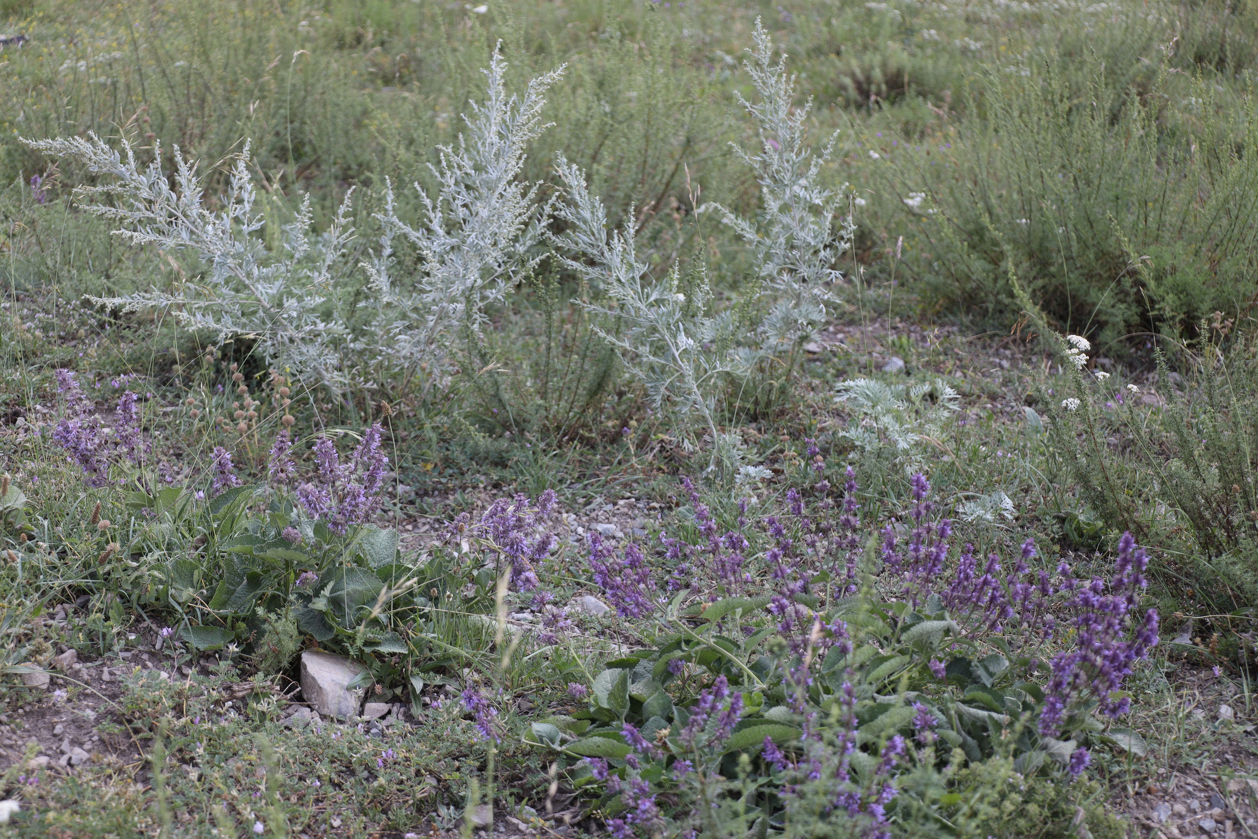 Северная Осетия июль 2025 год. Кармадон, Даргивз и Цей. Семейный детский фотограф Краснодарский край Оксана Колос