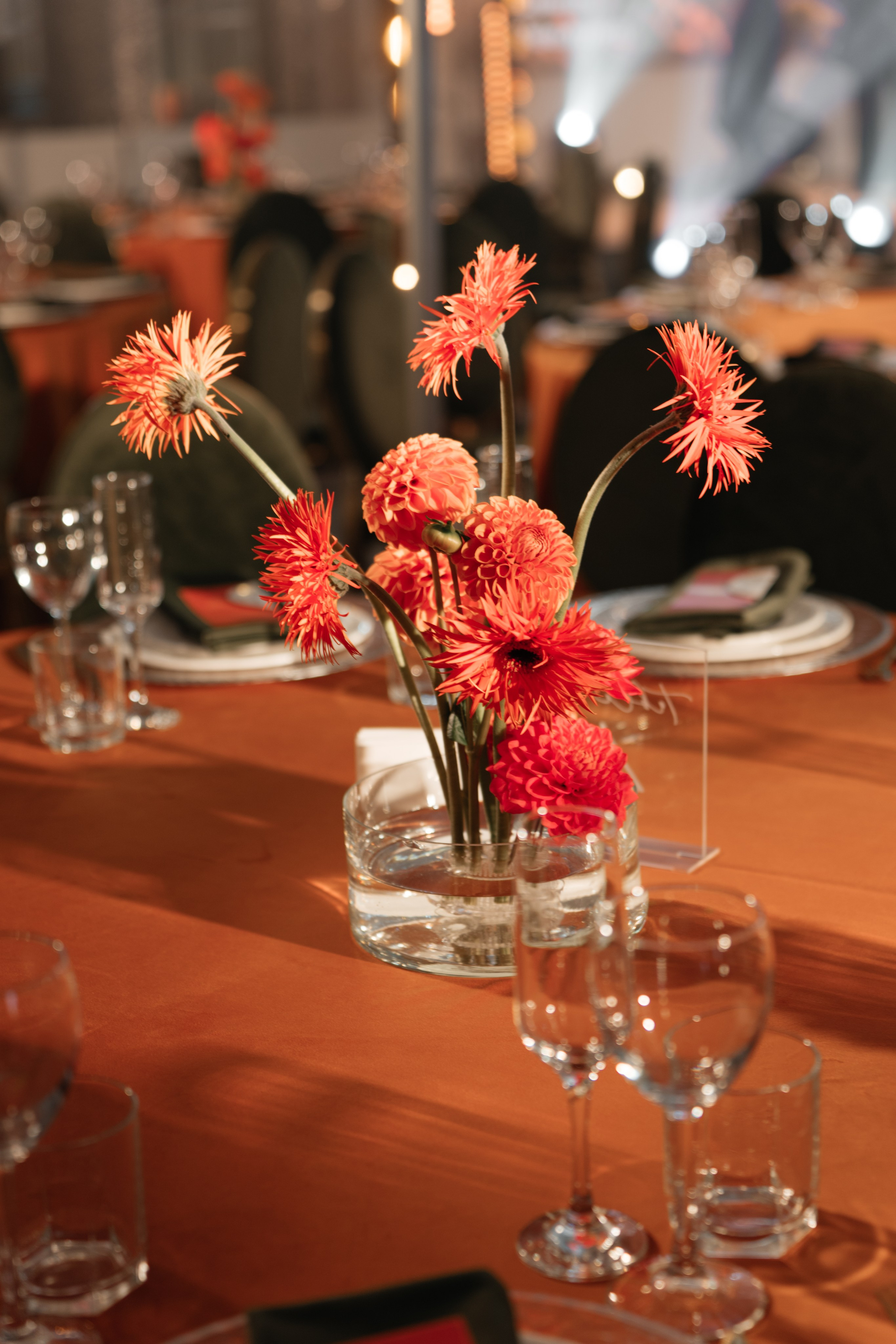 Lariva hall. Свадебное ФОТО & ВИДЕО Москва/Липецк