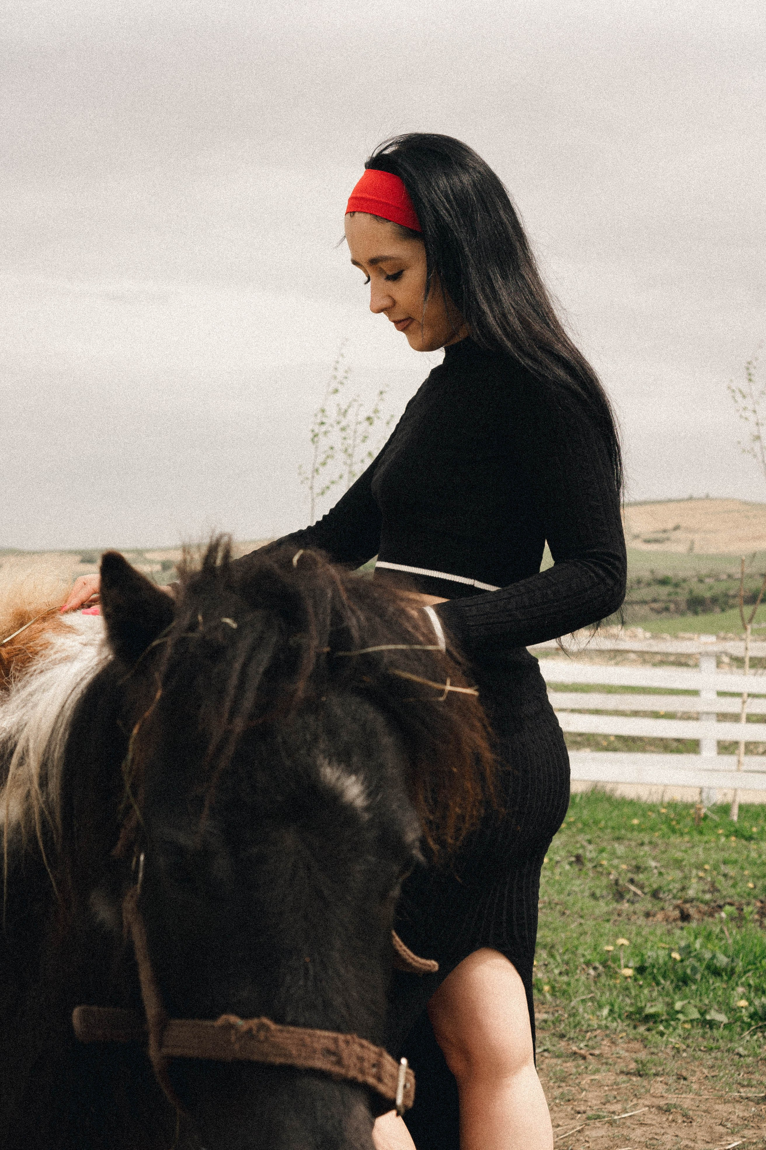 Ферма Альпак. Профессиональный фотограф, Санкт-Петербург — Виктория Богомолова