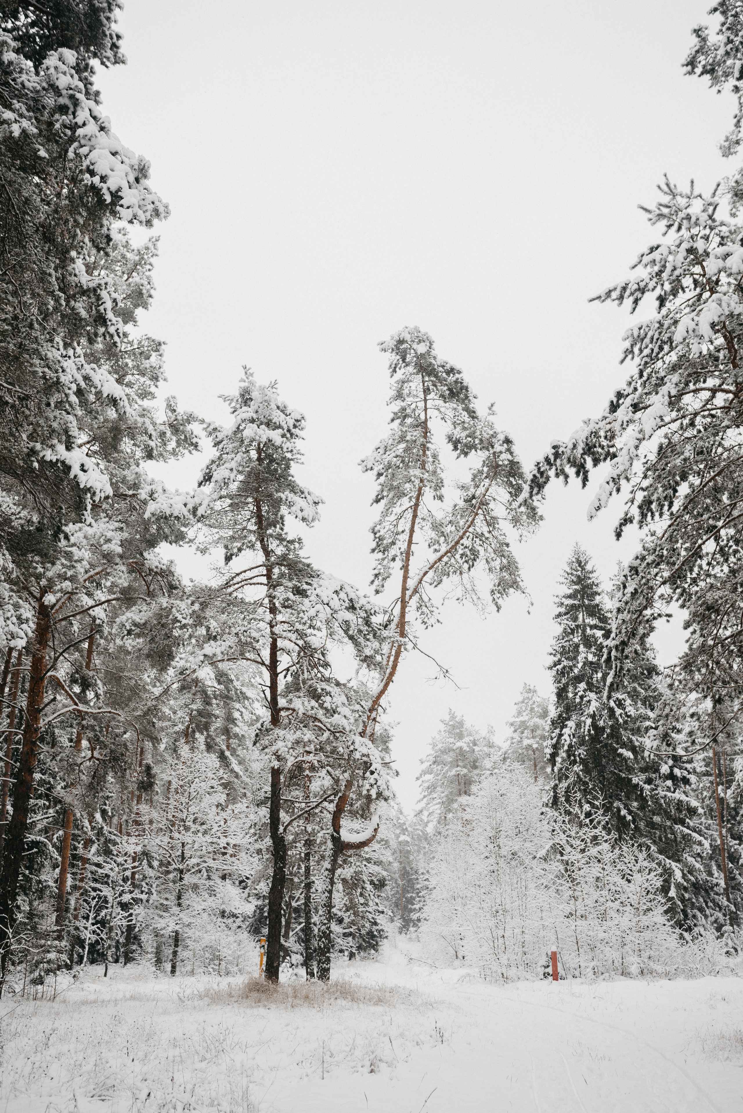 Даше. Костюшко Кристина — семейный и свадебный фотограф в Минске