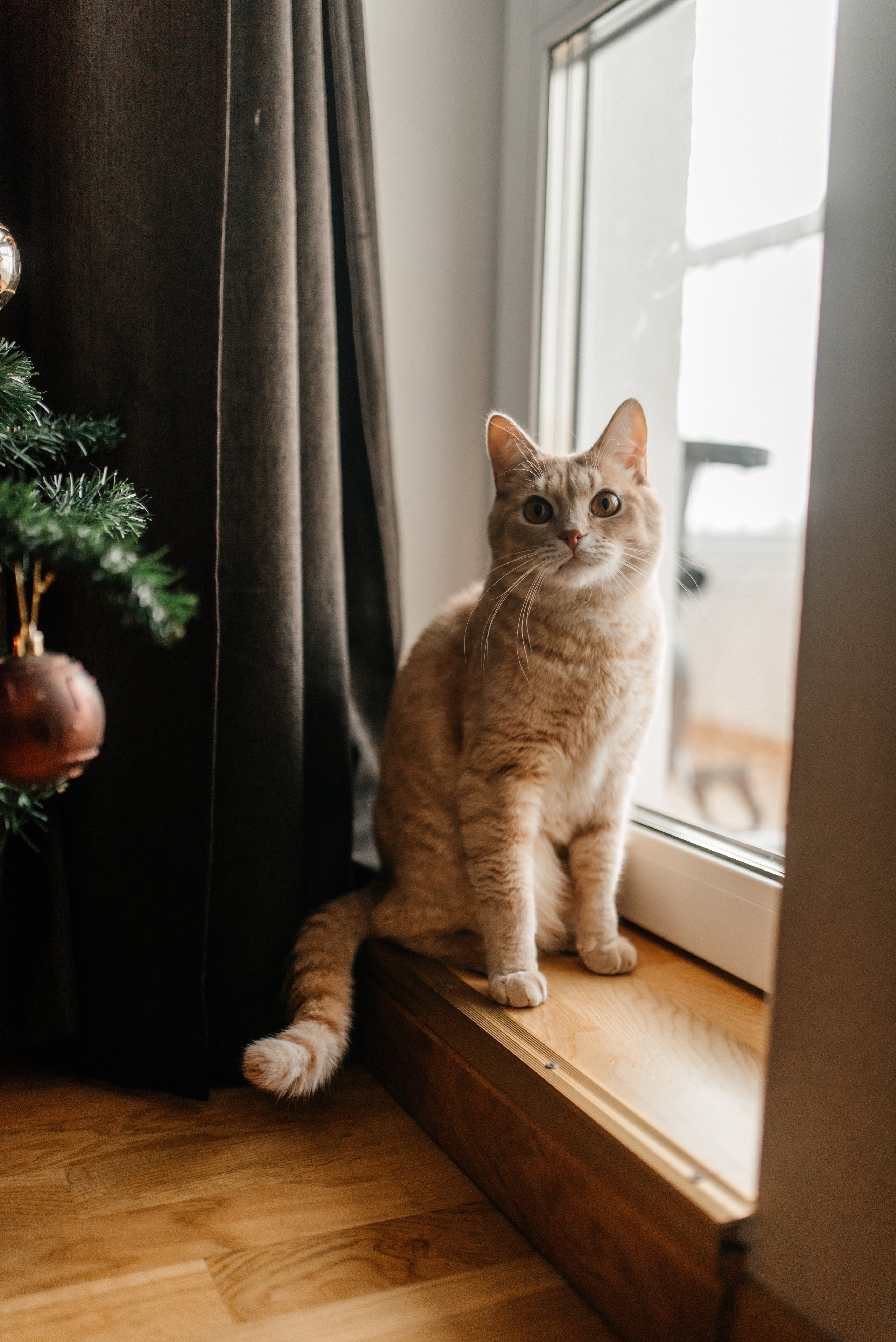 Надя+Саша+Вера+Лера. Костюшко Кристина — семейный и свадебный фотограф в Минске