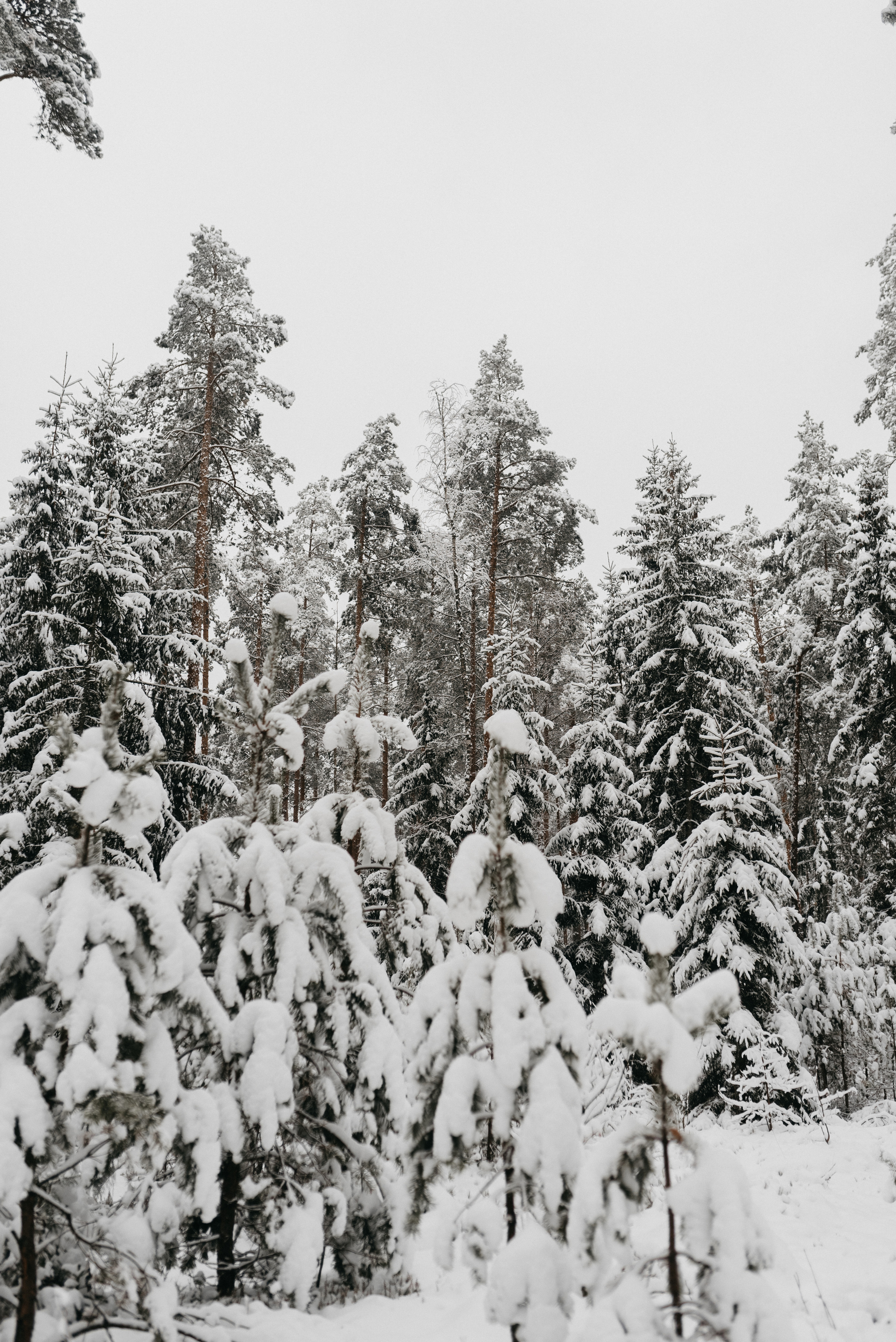 Даше. Костюшко Кристина — семейный и свадебный фотограф в Минске