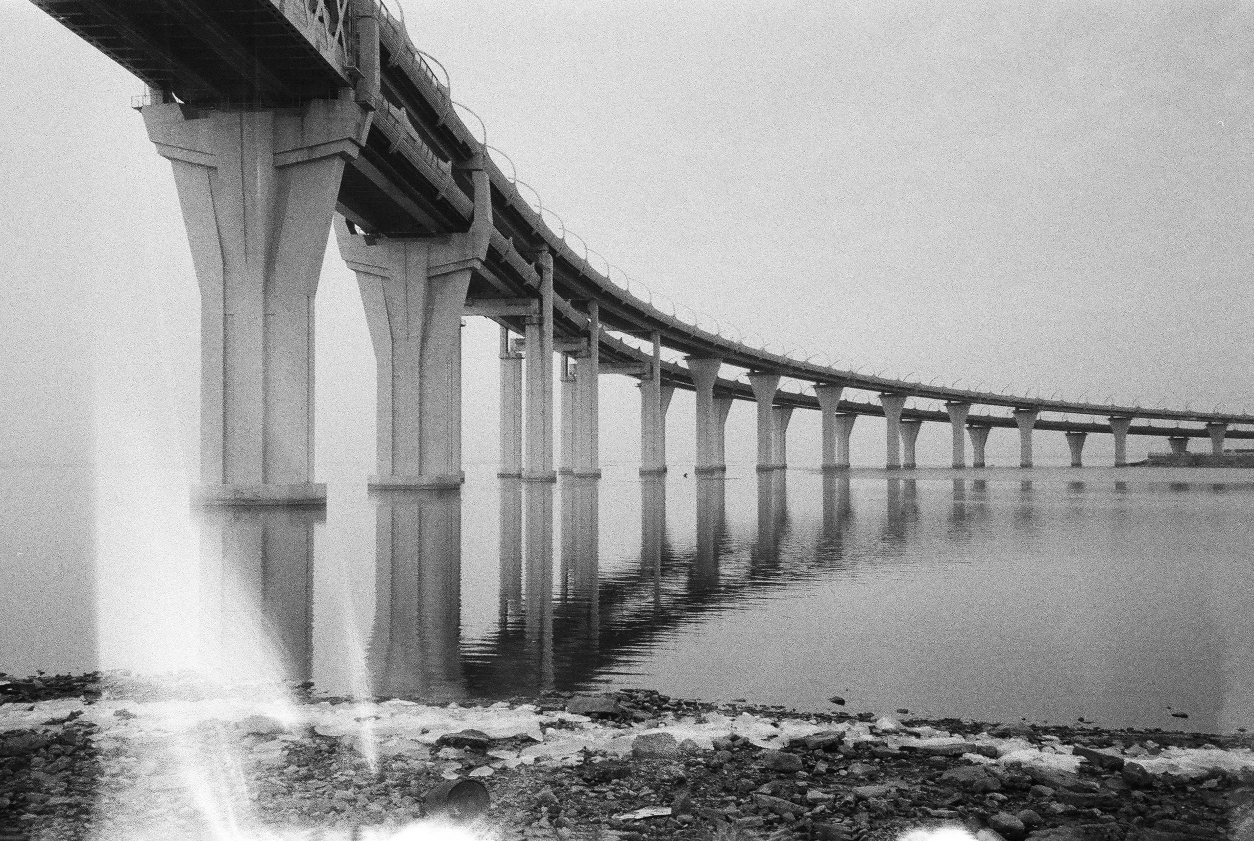 Фотографии черно-белые. Свадебный и семейный пленочный фотограф в Петербурге Истомина Ирина