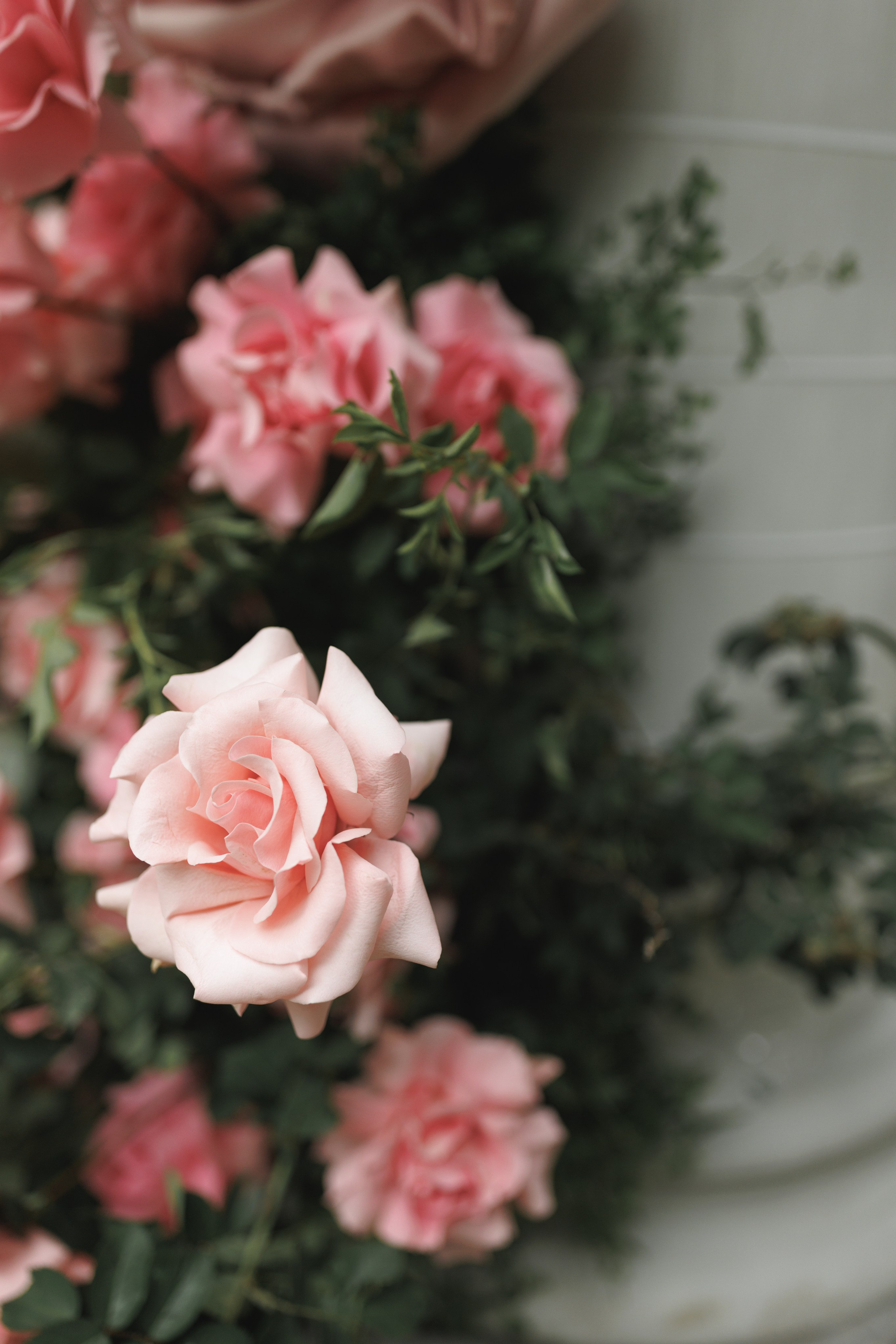 Дмитрий и Диана