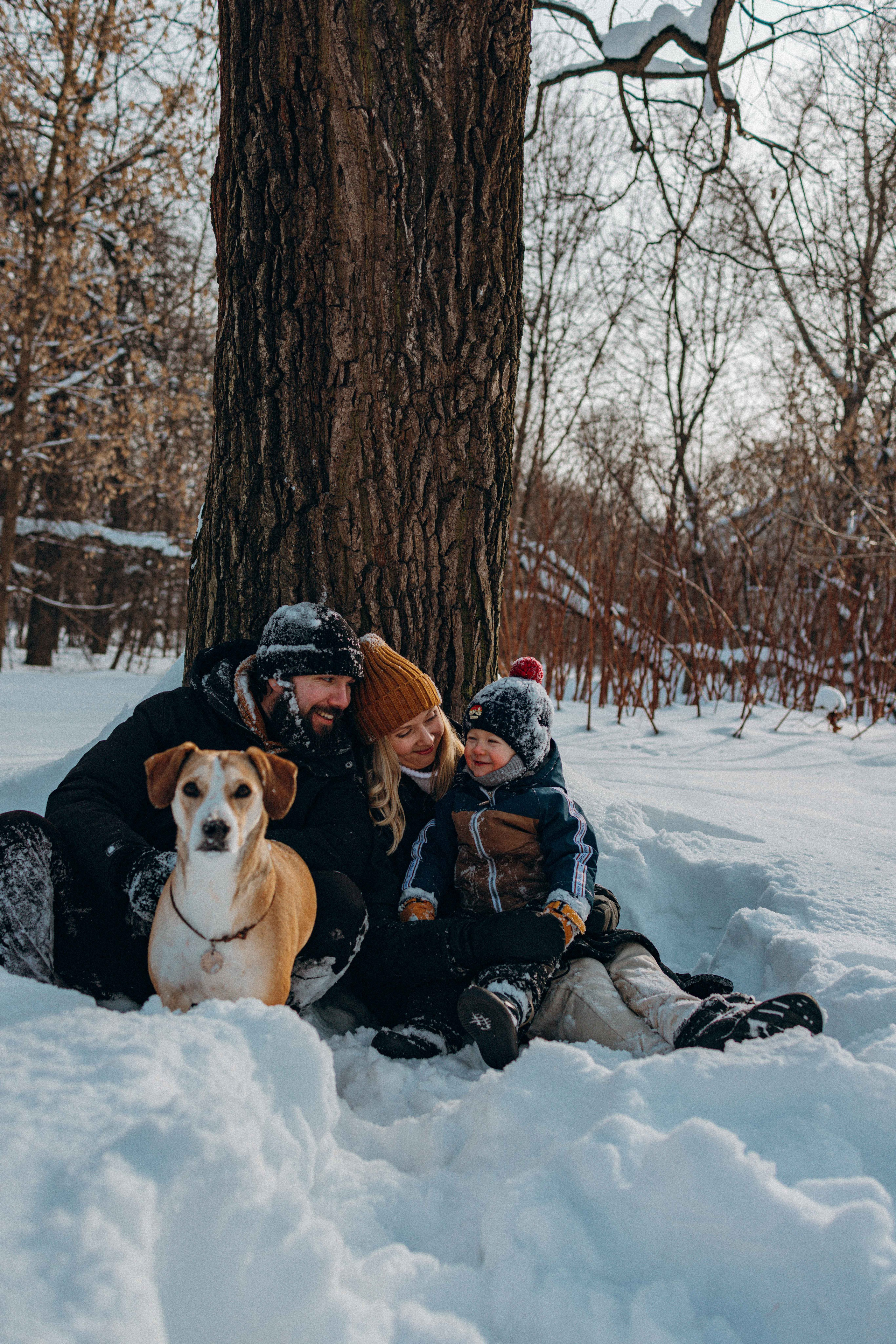Свобода и ее семья. Фотограф-анималист в Москве Лера Черноног