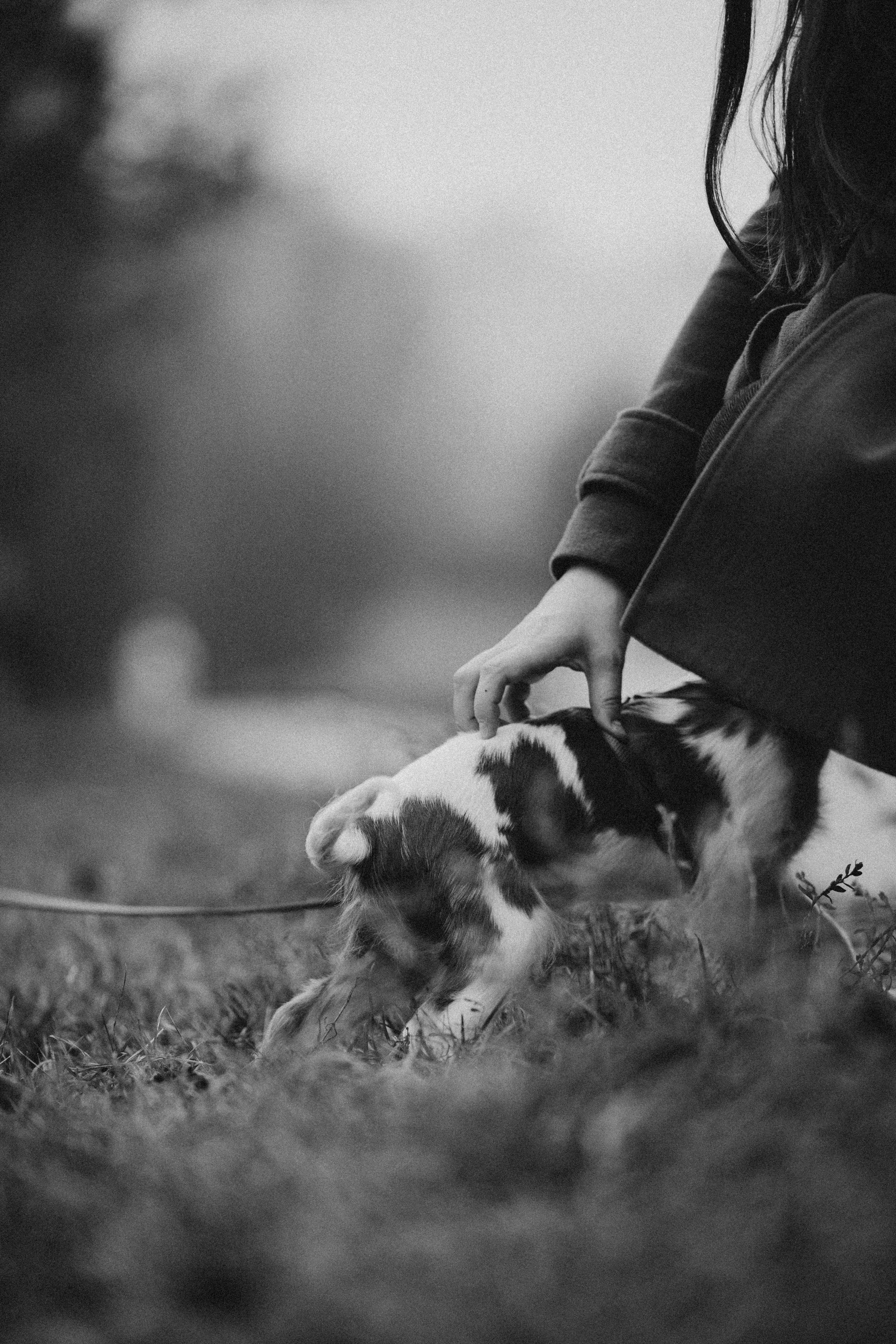 Юля и Кипр. Фотограф-анималист в Москве Лера Черноног
