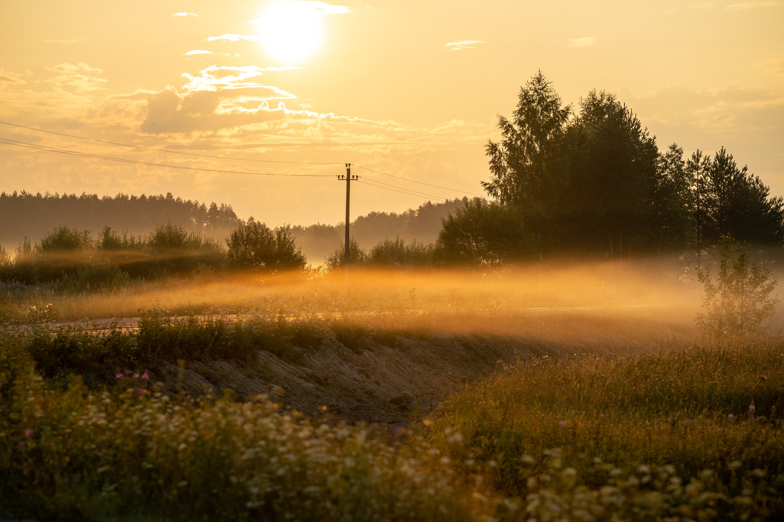 Природные пейзажи. Наталия Клевинскас портретный фотограф в Костроме